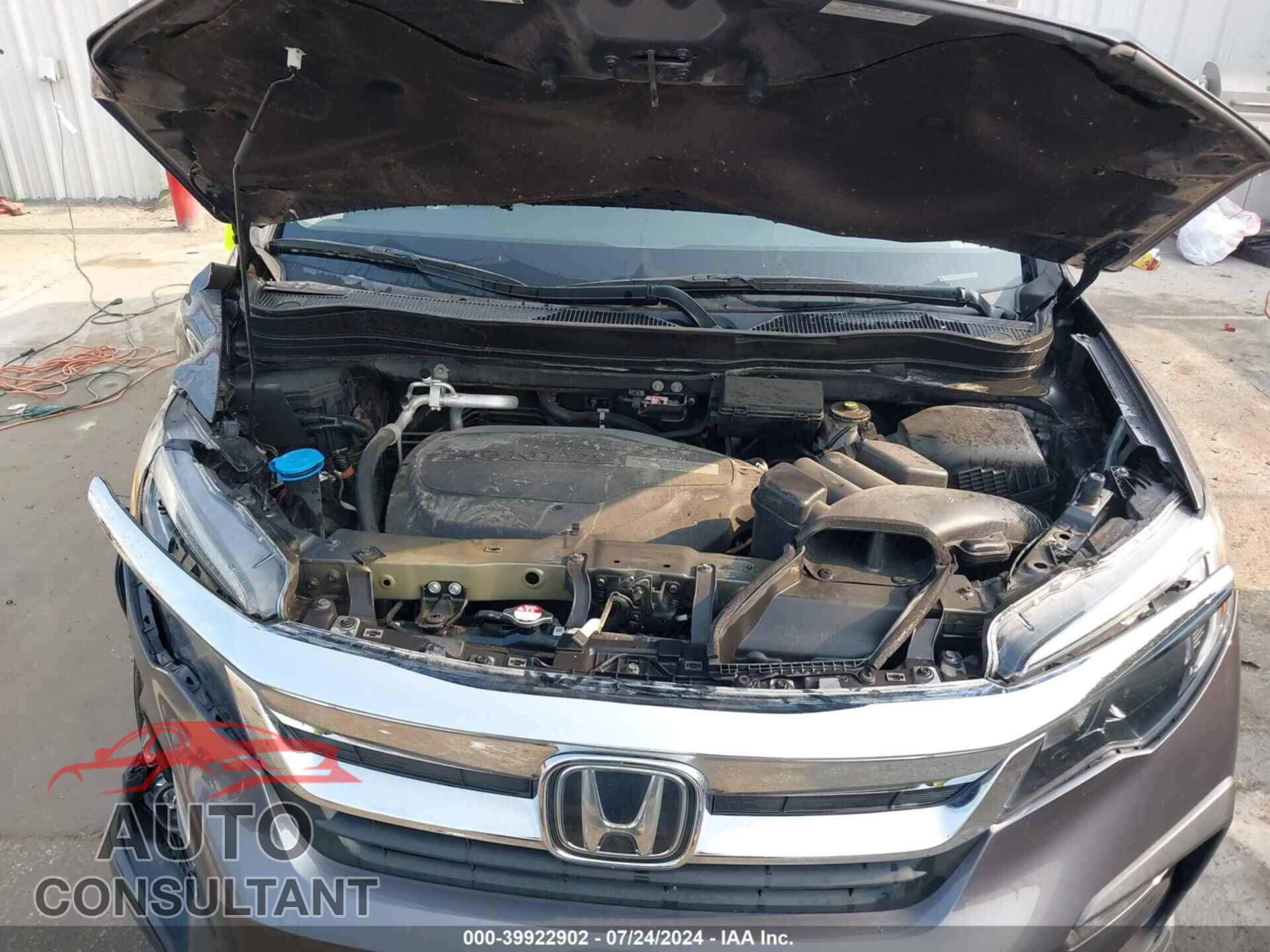 HONDA PILOT 2019 - 5FNYF6H59KB098664