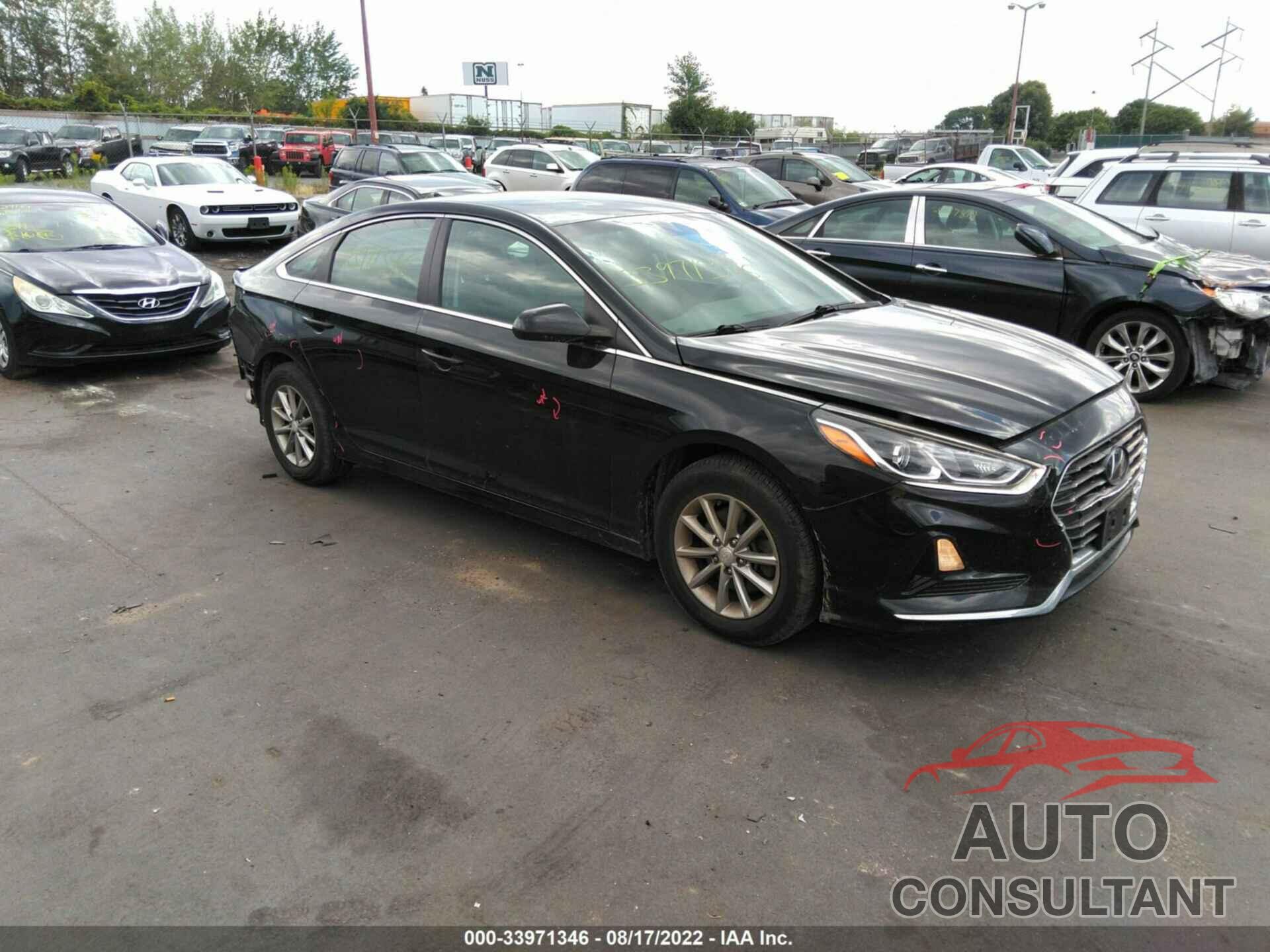 HYUNDAI SONATA 2019 - 5NPE24AF2KH740116