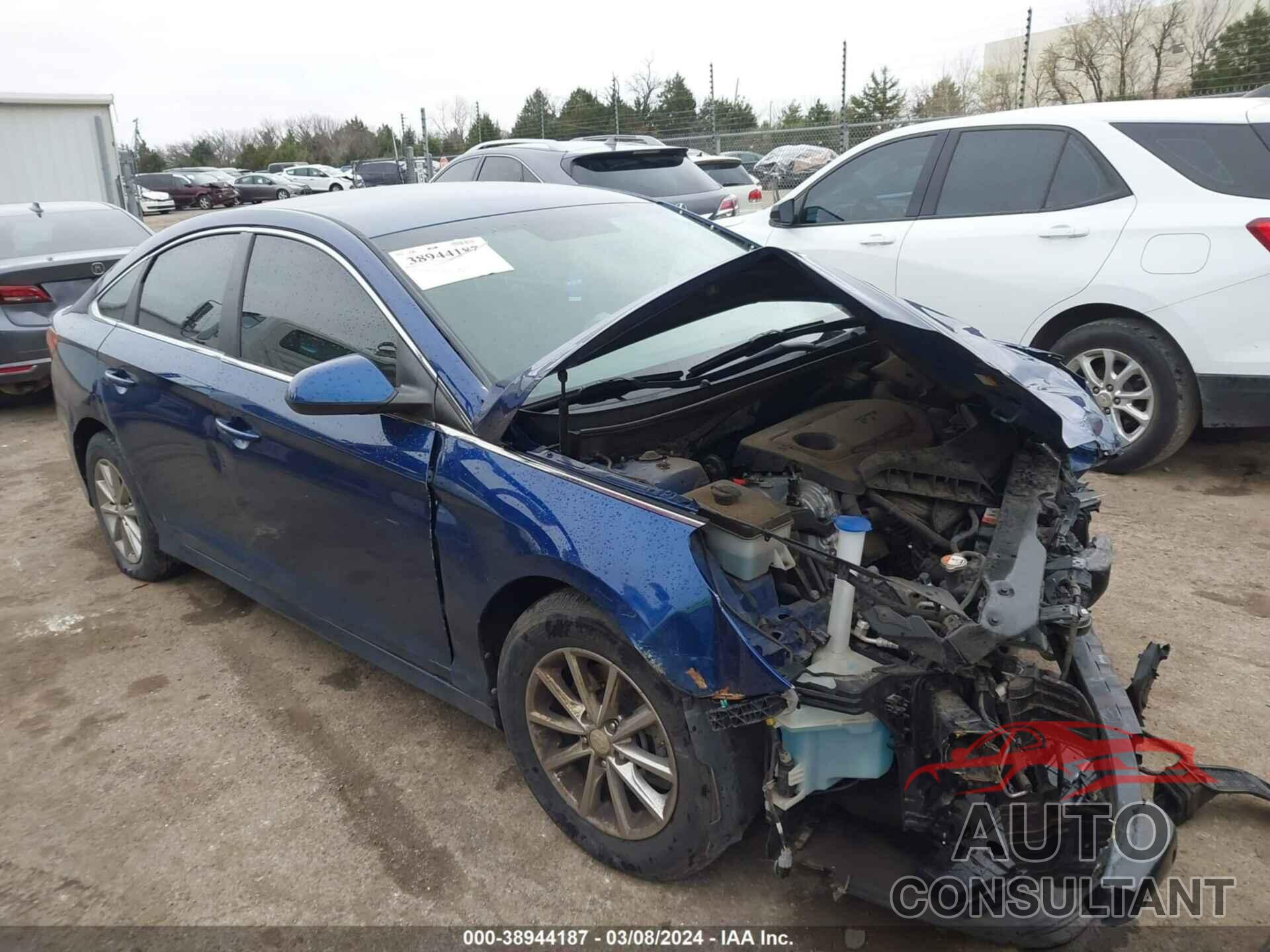 HYUNDAI SONATA 2019 - 5NPE24AFXKH731793