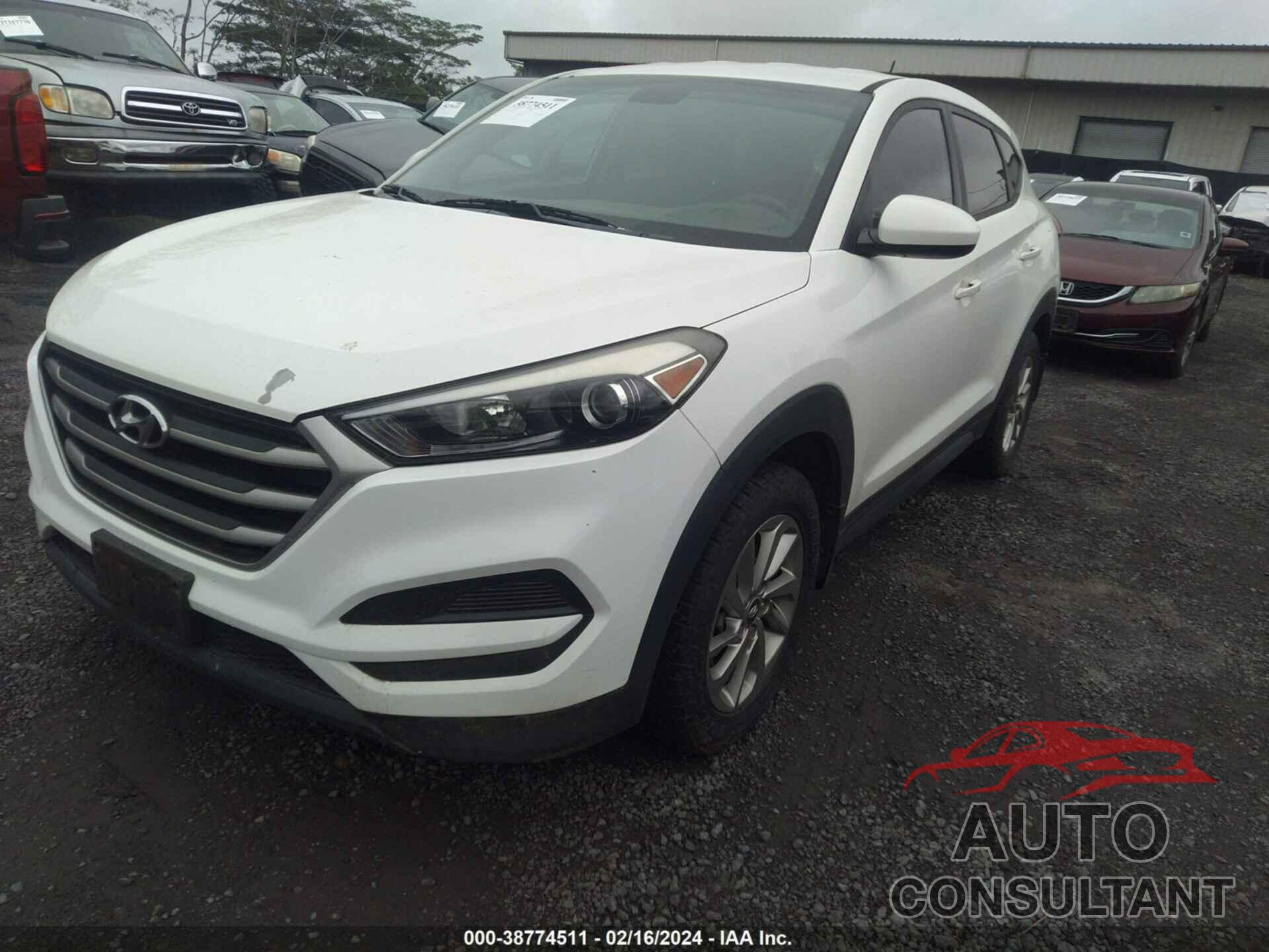 HYUNDAI TUCSON 2017 - KM8J23A49HU462753