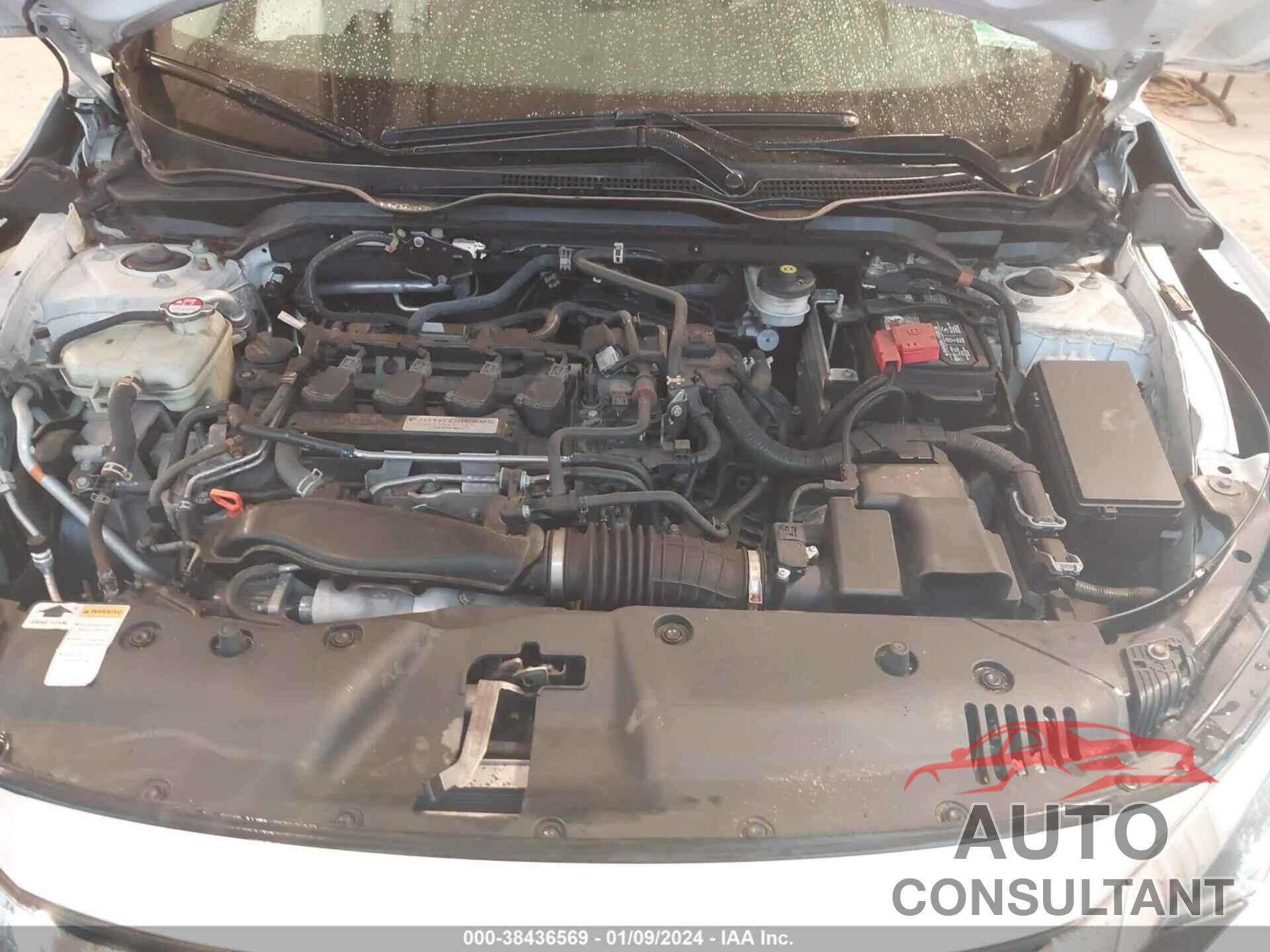 HONDA CIVIC 2016 - 2HGFC1F76GH634853