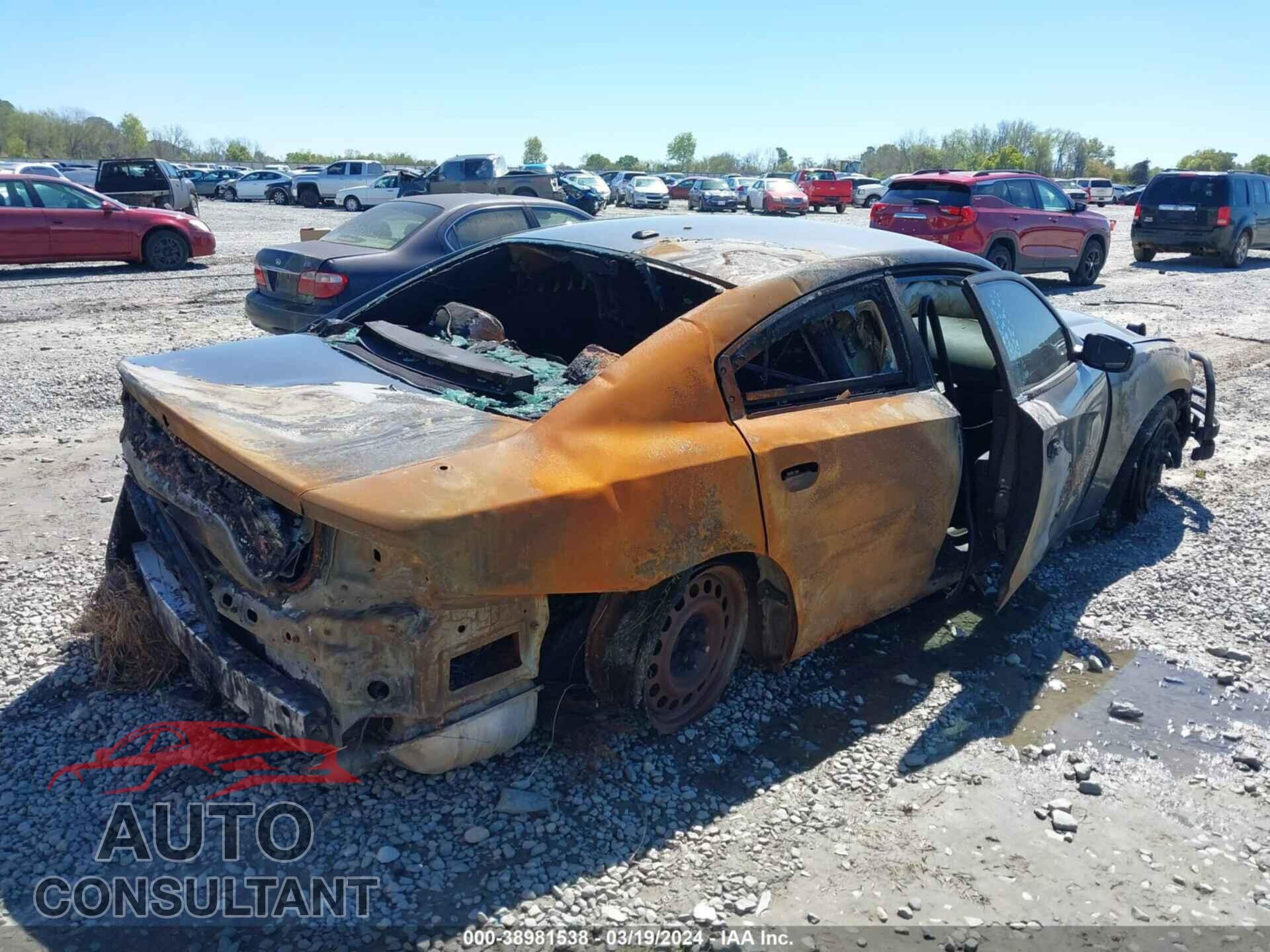 DODGE CHARGER 2020 - 2C3CDXKT0LH116854