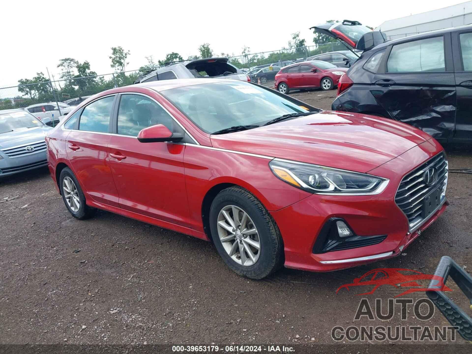 HYUNDAI SONATA 2019 - 5NPE24AF8KH790289