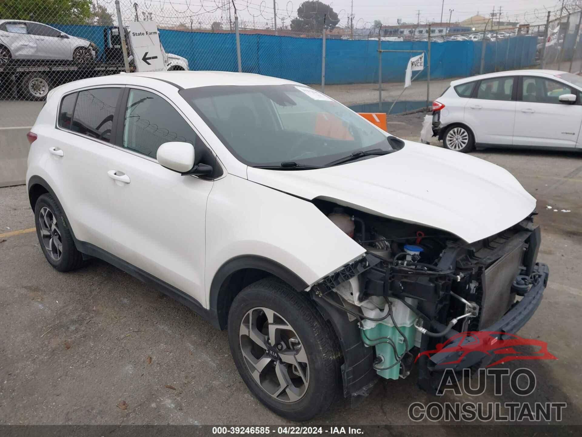 KIA SPORTAGE 2022 - KNDPM3AC9N7953124