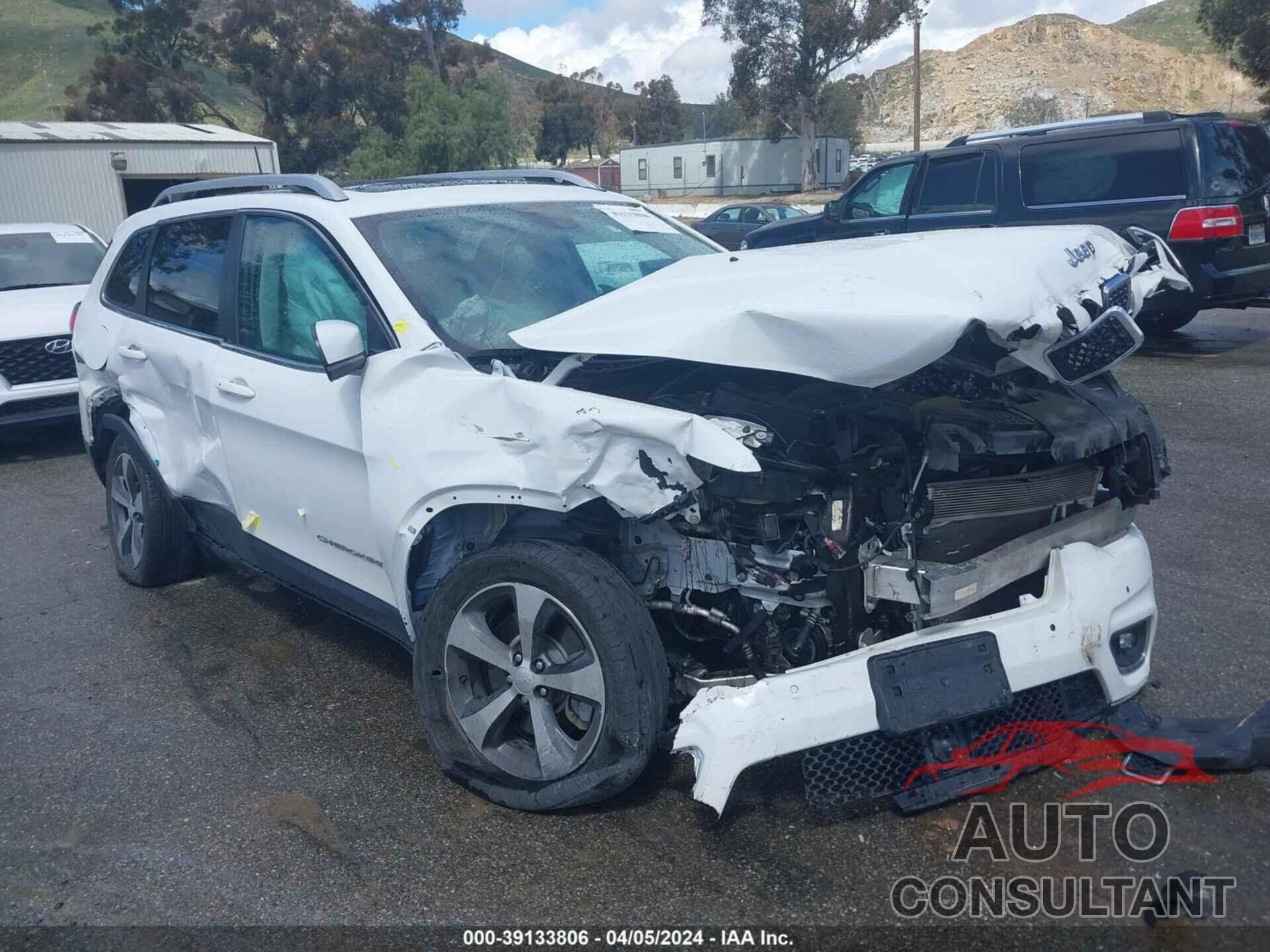 JEEP CHEROKEE 2019 - 1C4PJLDB3KD326895