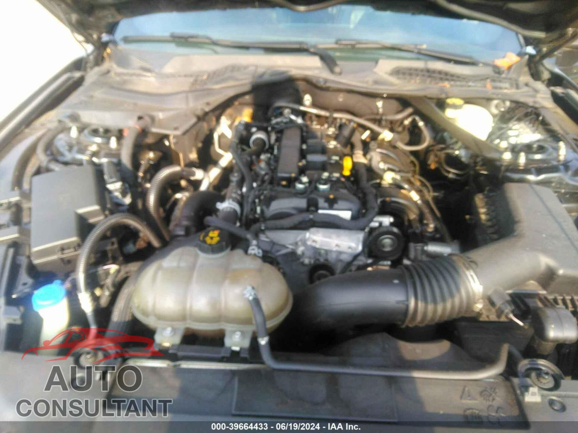 FORD MUSTANG 2021 - 1FATP8UH5M5100441