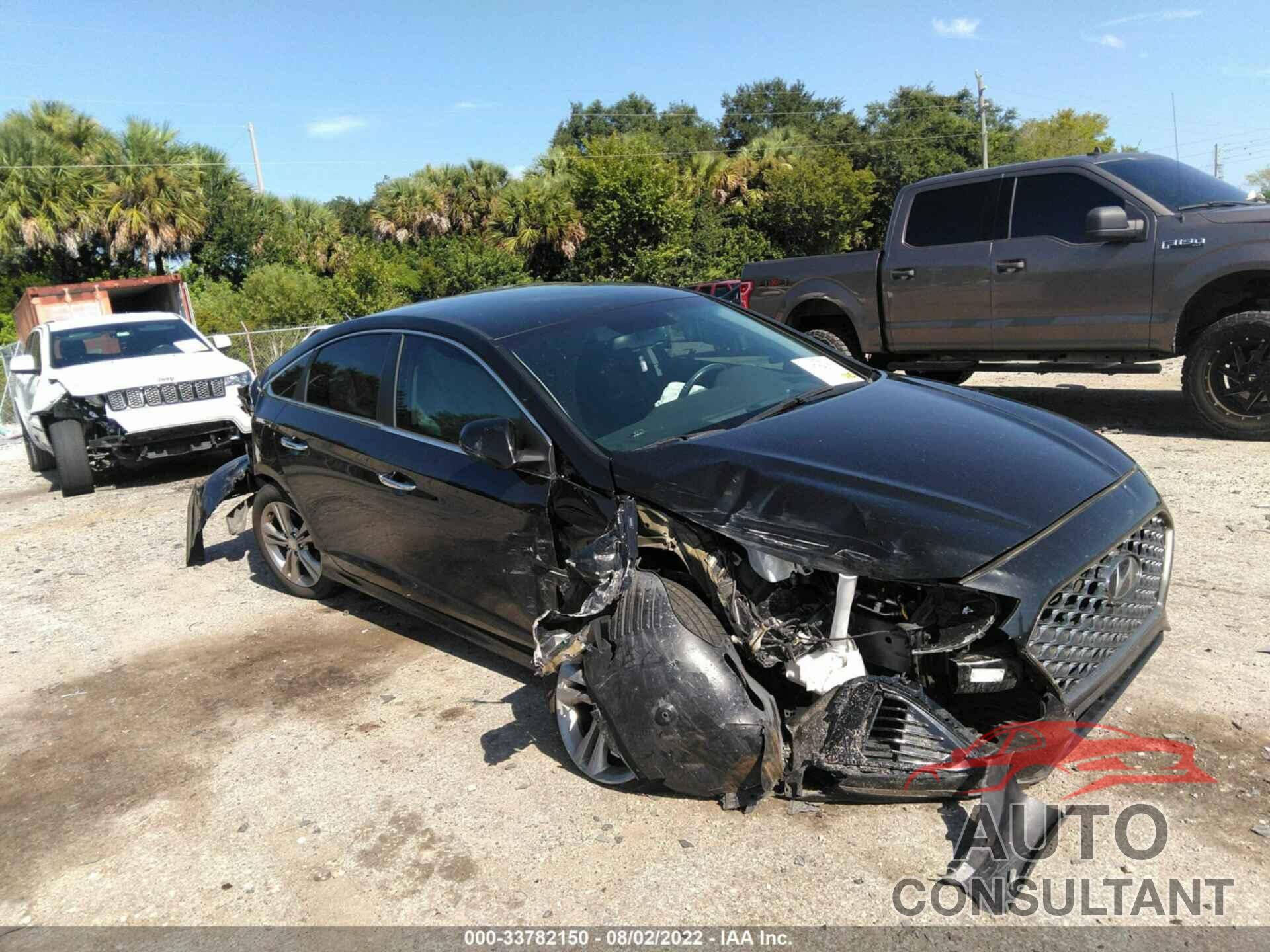 HYUNDAI SONATA 2019 - 5NPE34AF7KH784559