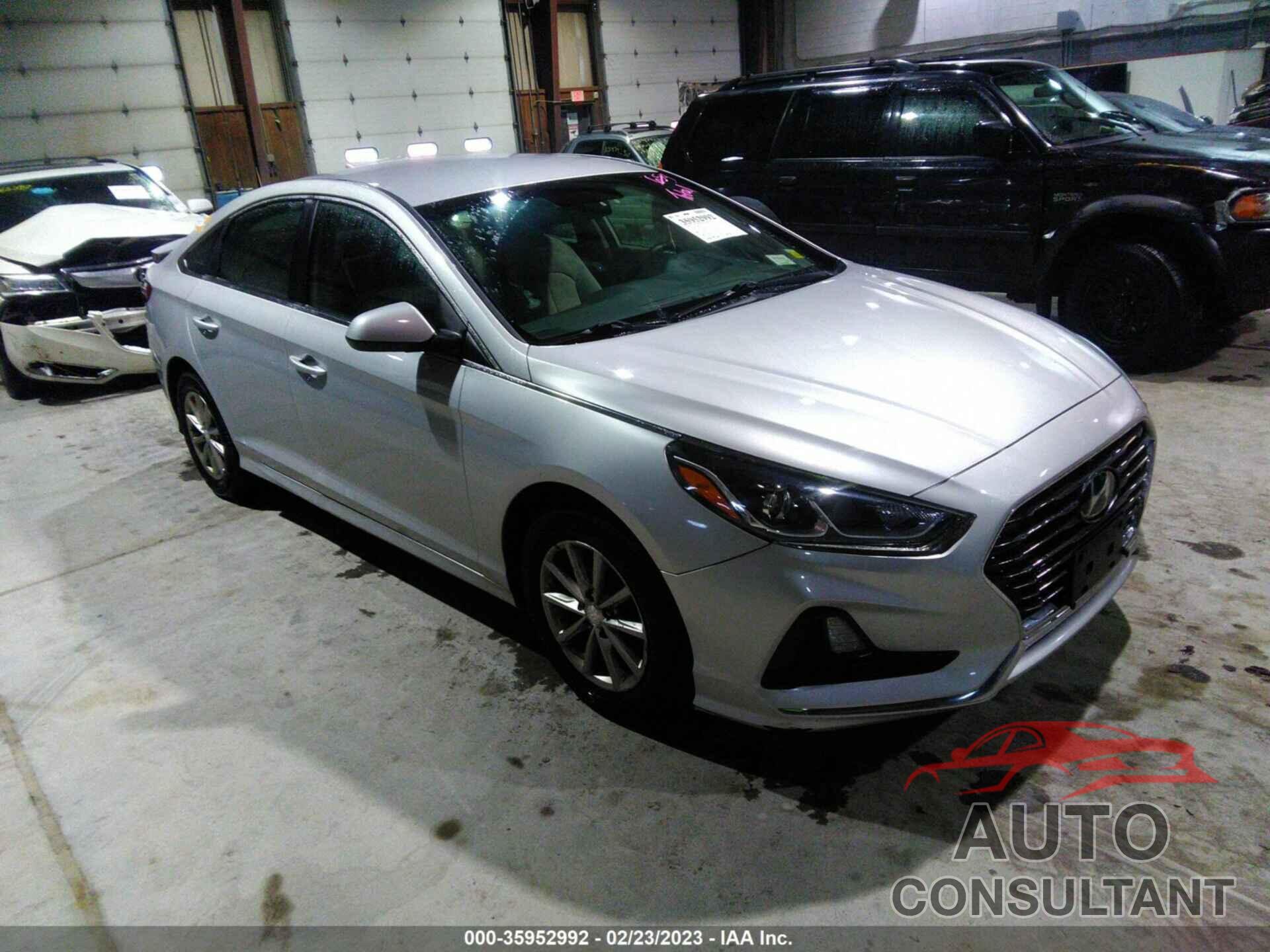 HYUNDAI SONATA 2019 - 5NPE24AF5KH733967