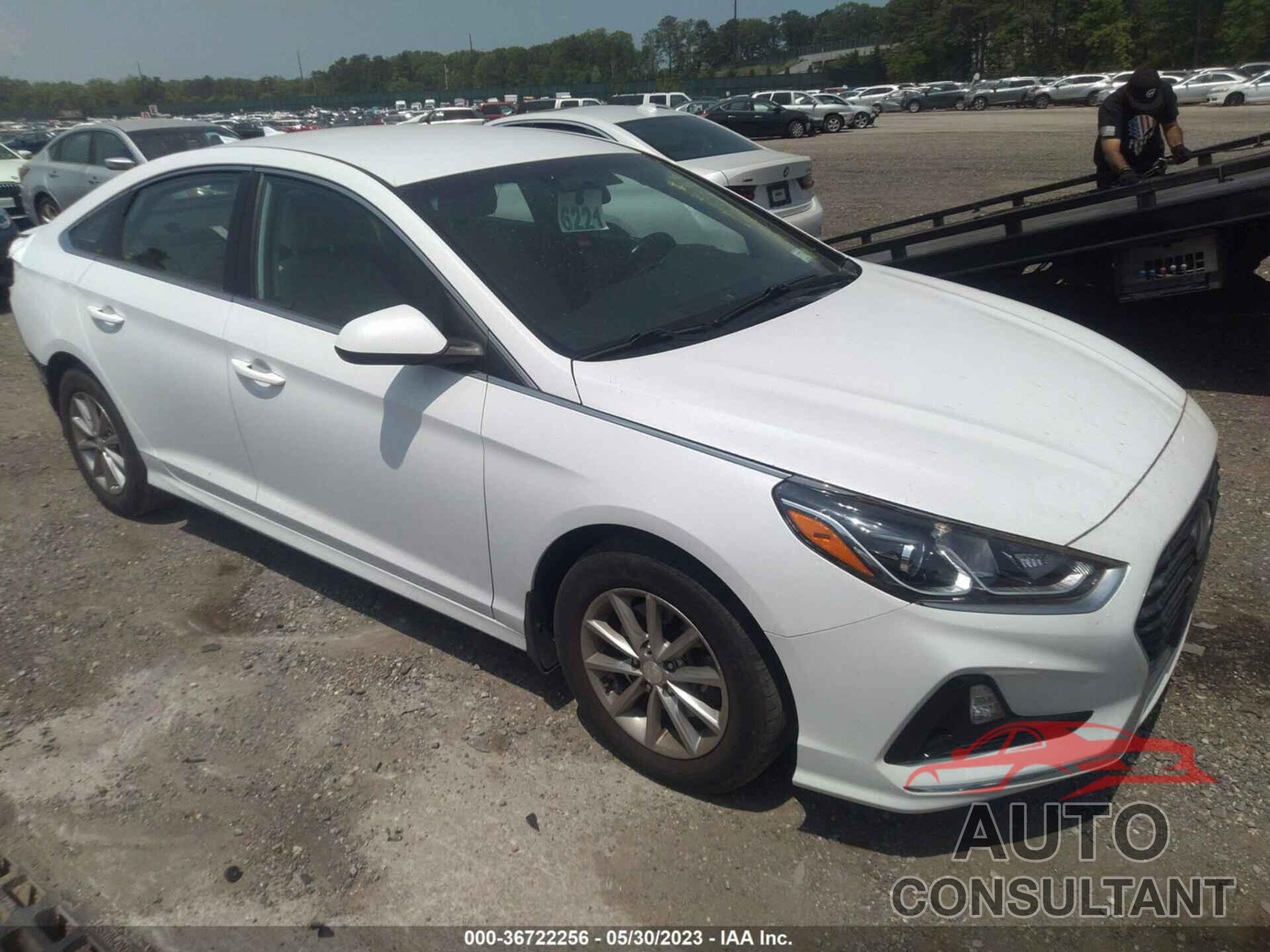 HYUNDAI SONATA 2019 - 5NPE24AF8KH812405