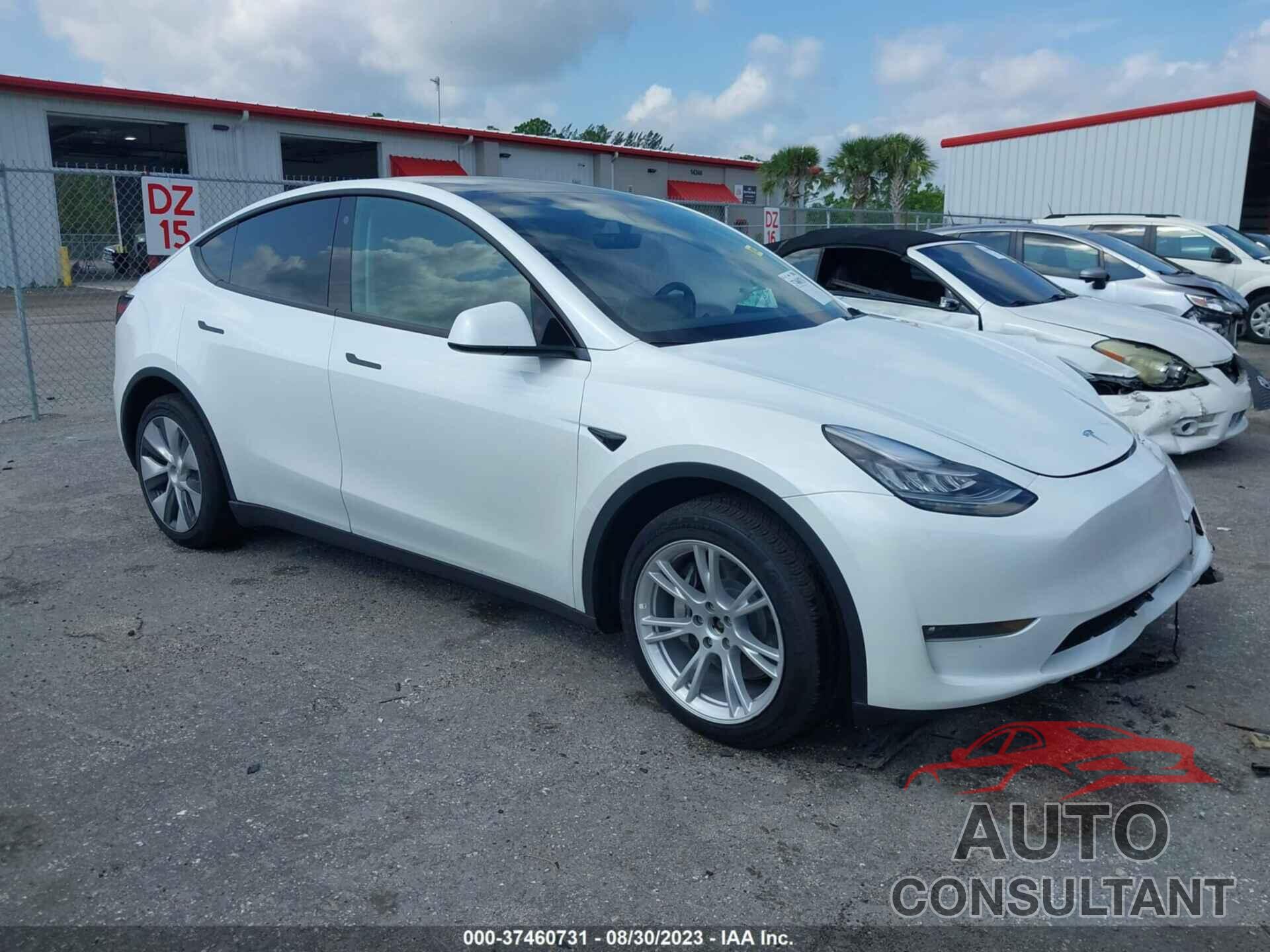 TESLA MODEL Y 2023 - 7SAYGDEE4PF613909