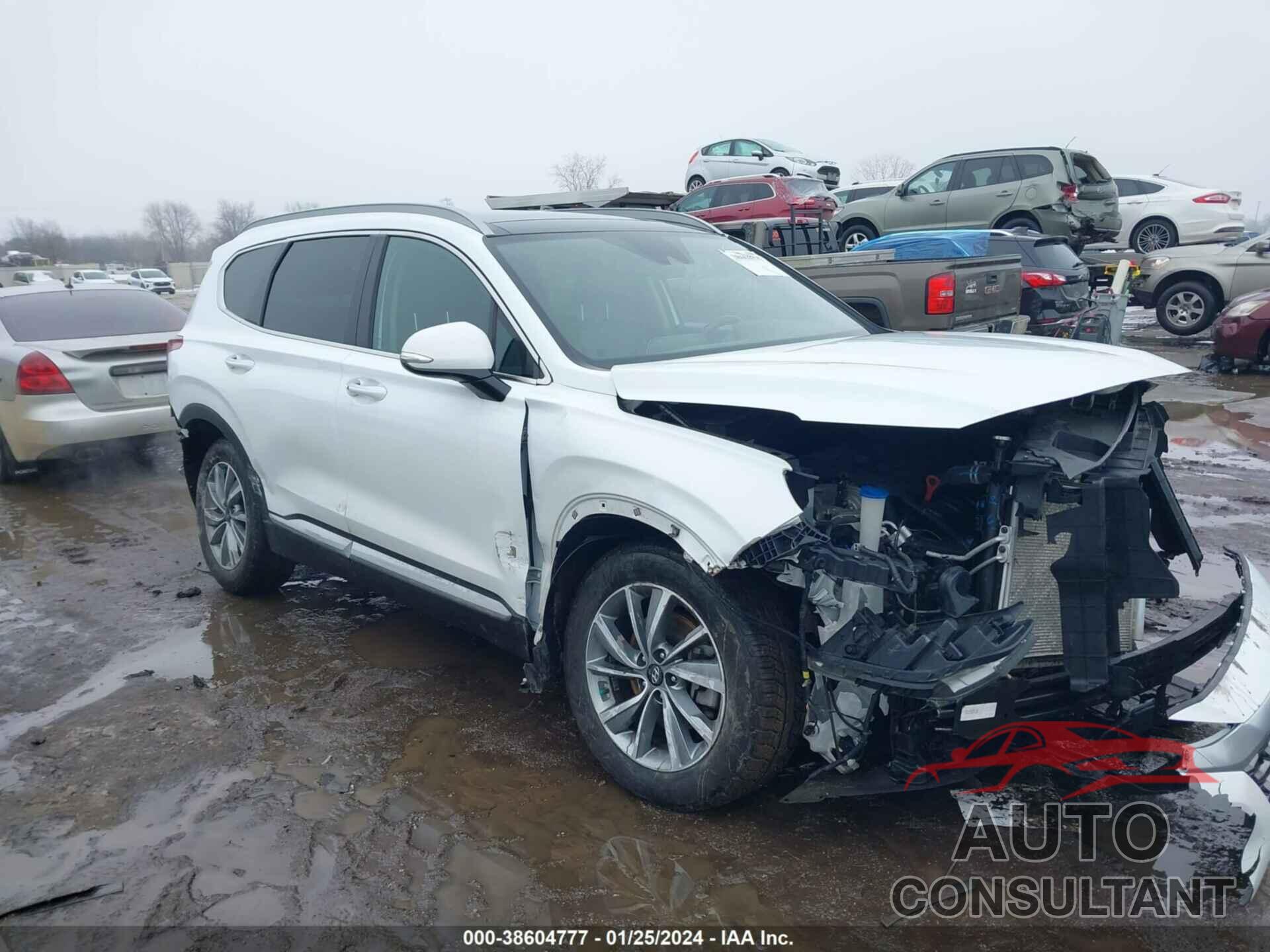 HYUNDAI SANTA FE 2019 - 5NMS5CAD7KH076072