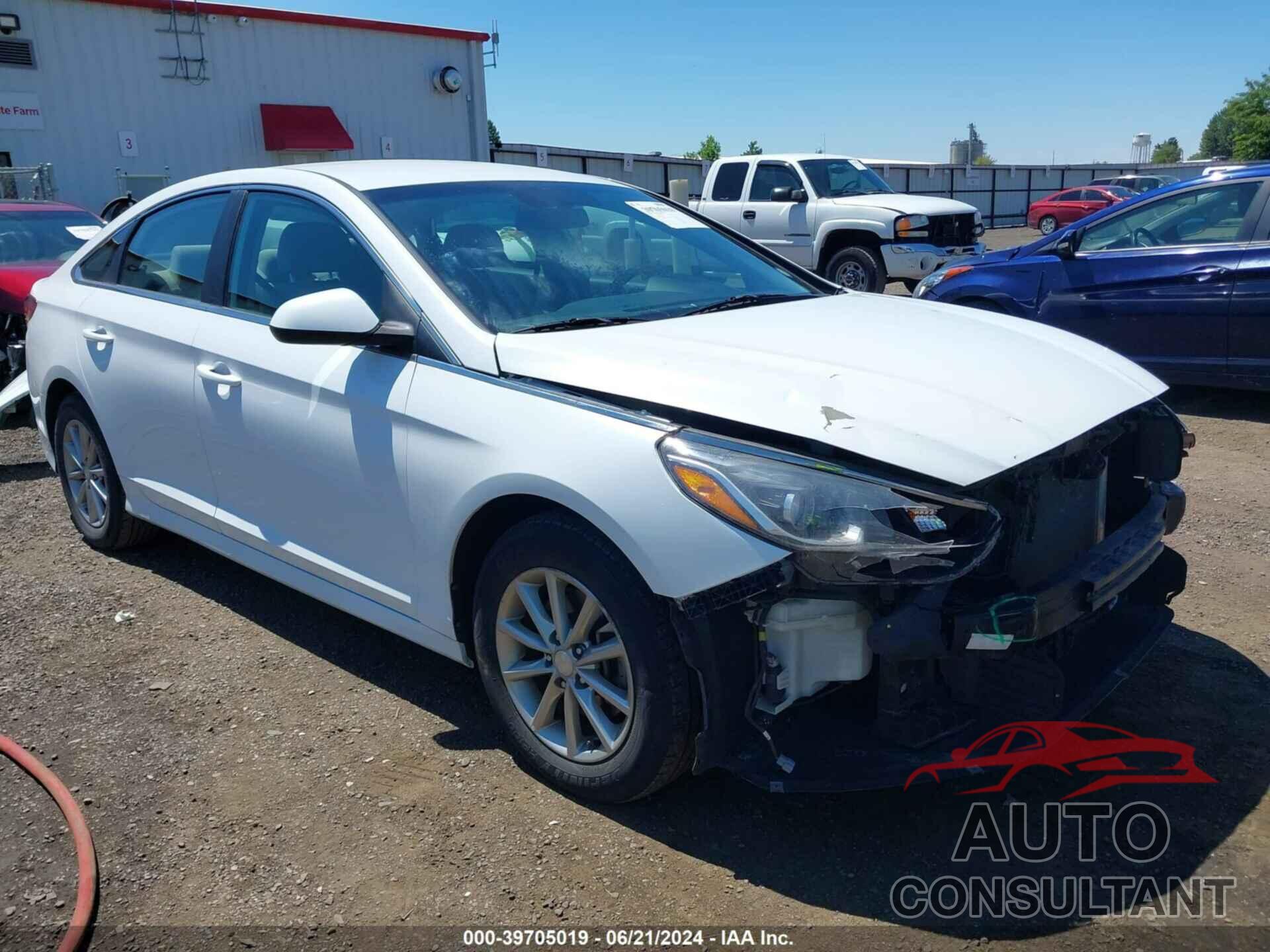 HYUNDAI SONATA 2019 - 5NPE24AF8KH791975