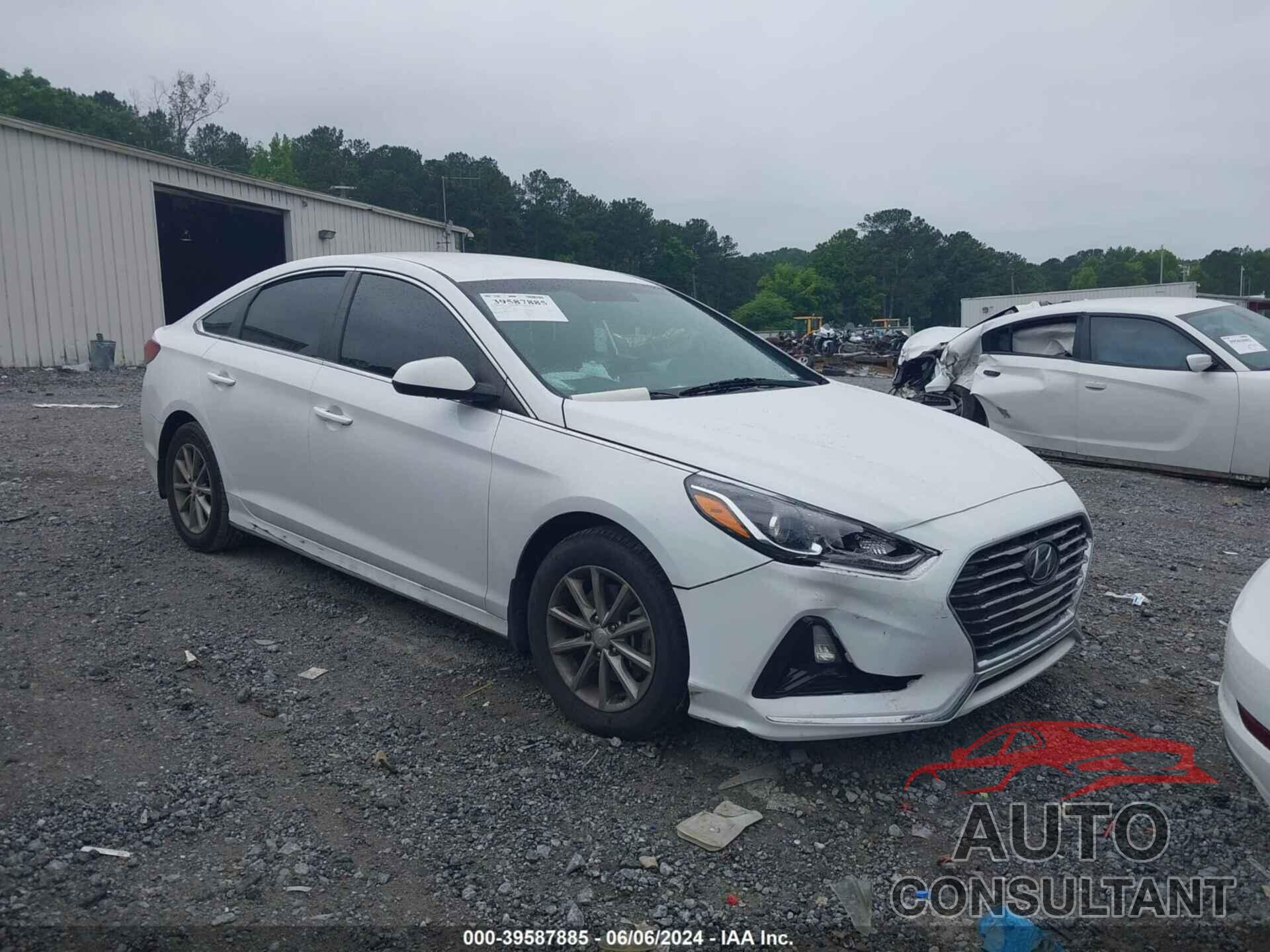 HYUNDAI SONATA 2019 - 5NPE24AF5KH737341