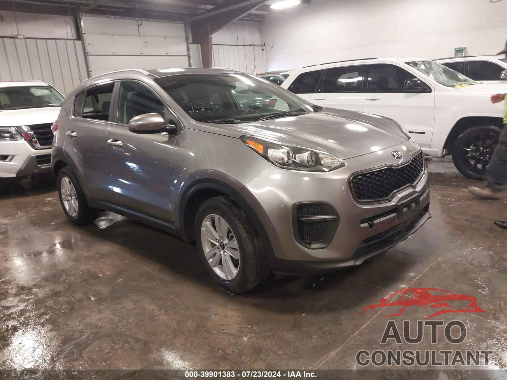 KIA SPORTAGE 2017 - KNDPM3AC5H7136480