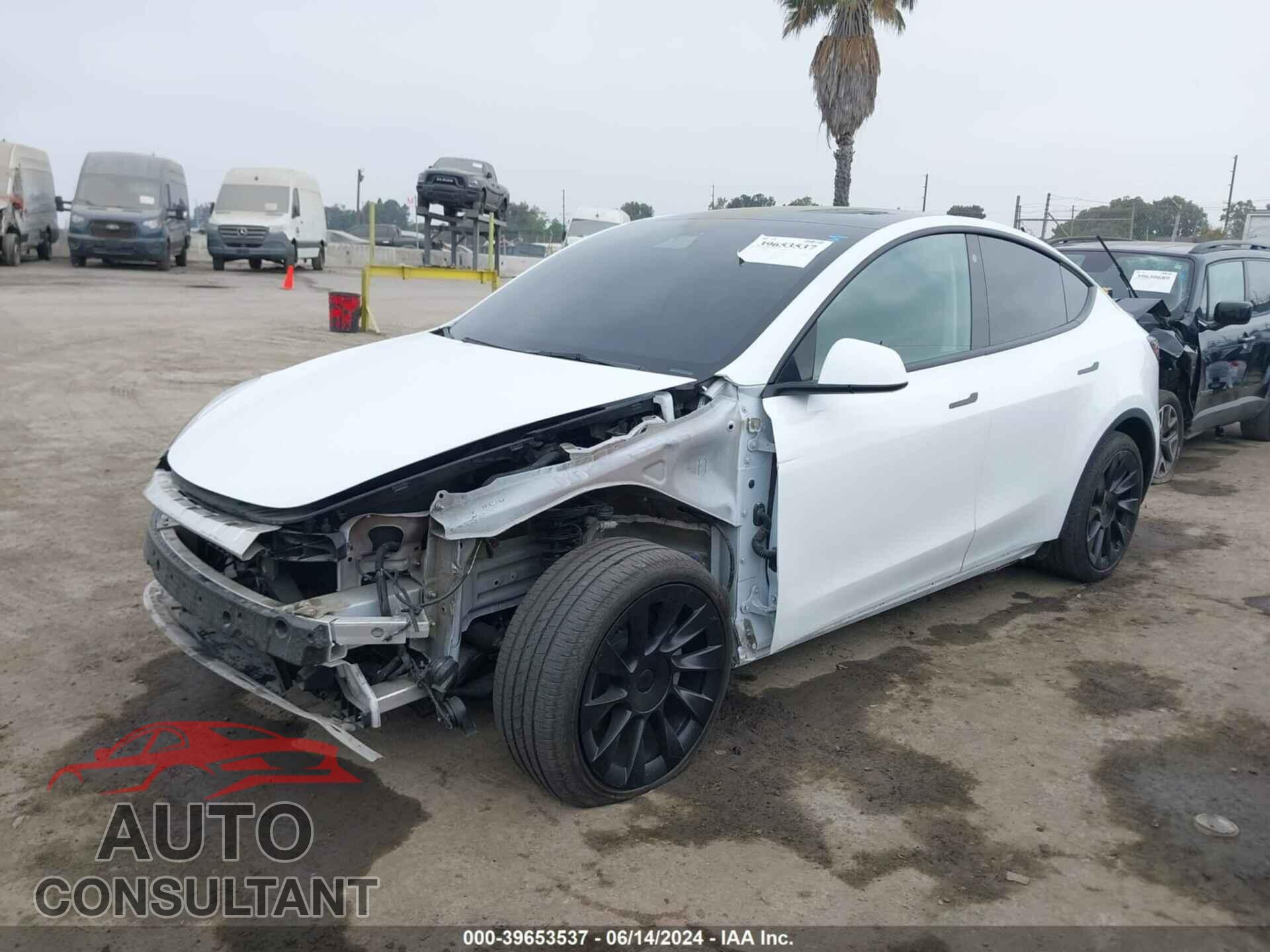 TESLA MODEL Y 2022 - 7SAYGDEE9NF410074