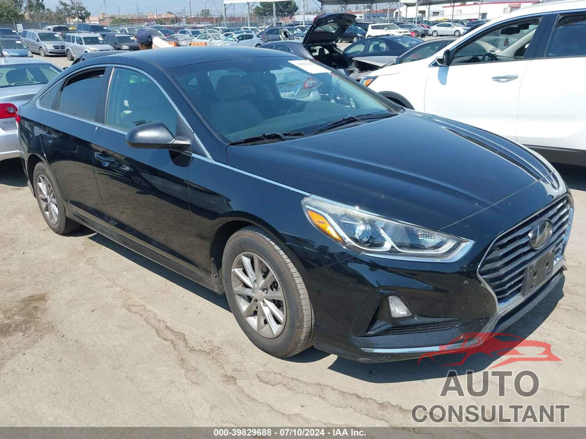 HYUNDAI SONATA 2019 - 5NPE24AF5KH744905