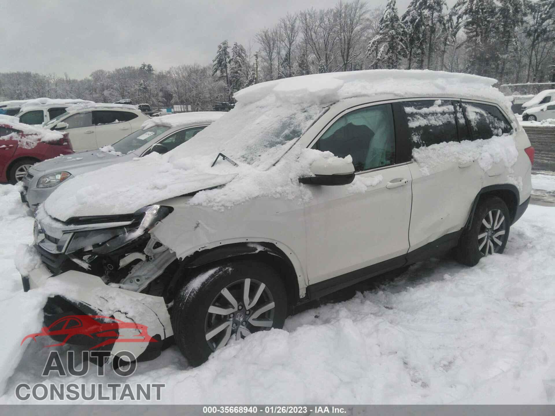 HONDA PILOT 2019 - 5FNYF6H56KB066092