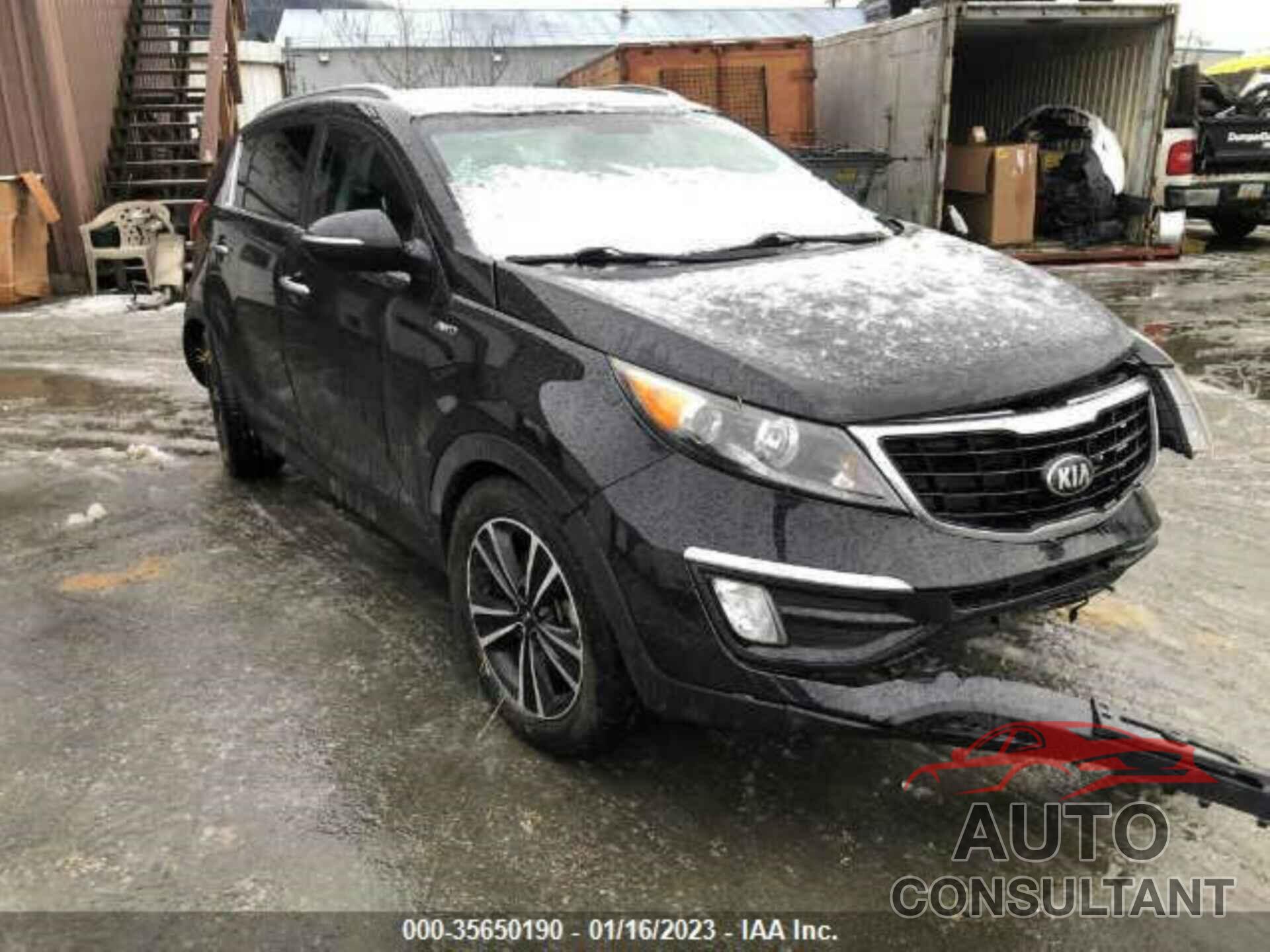 KIA SPORTAGE 2016 - KNDPCCA6XG7813227