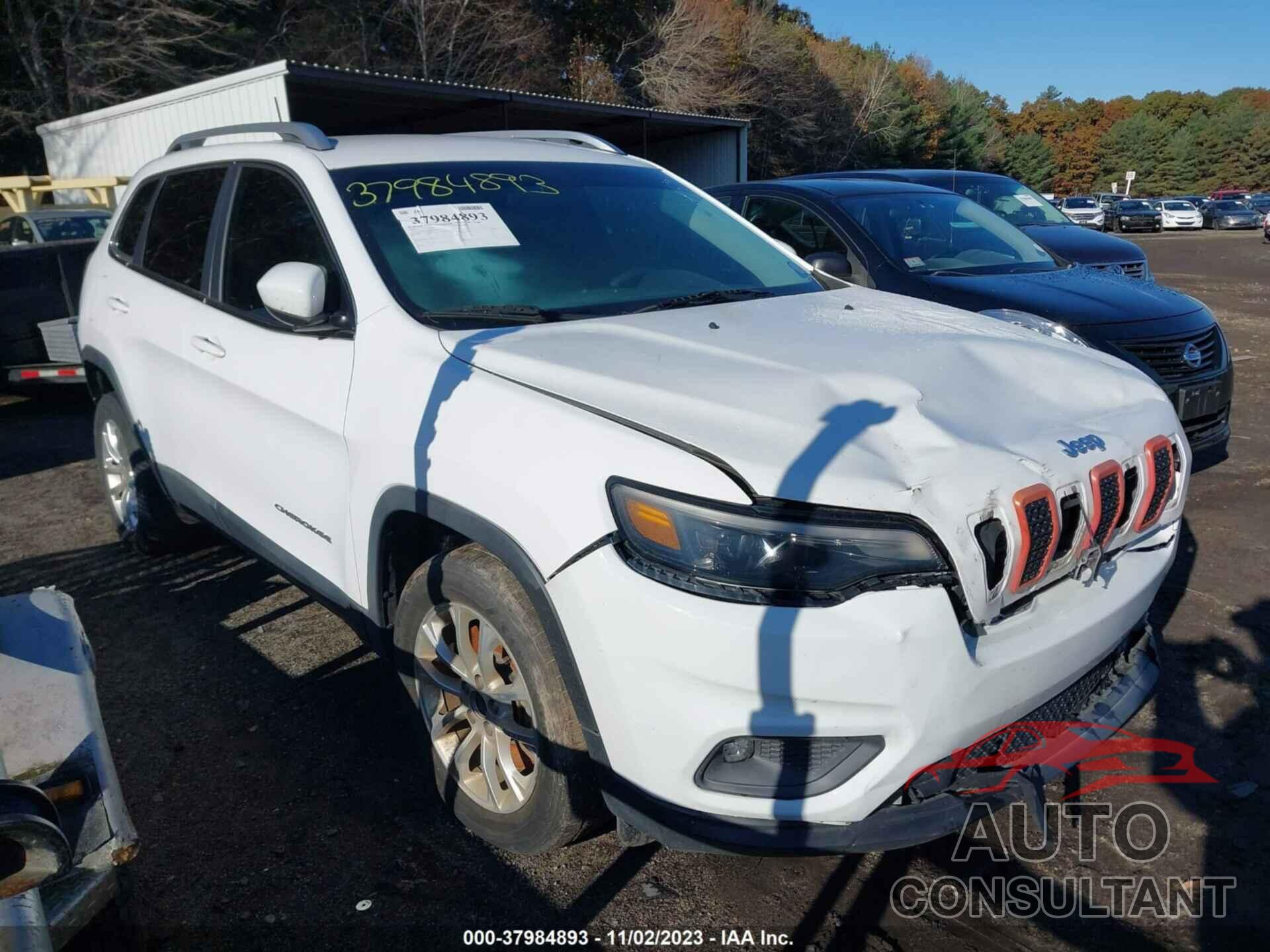 JEEP CHEROKEE 2019 - 1C4PJLCB2KD144638