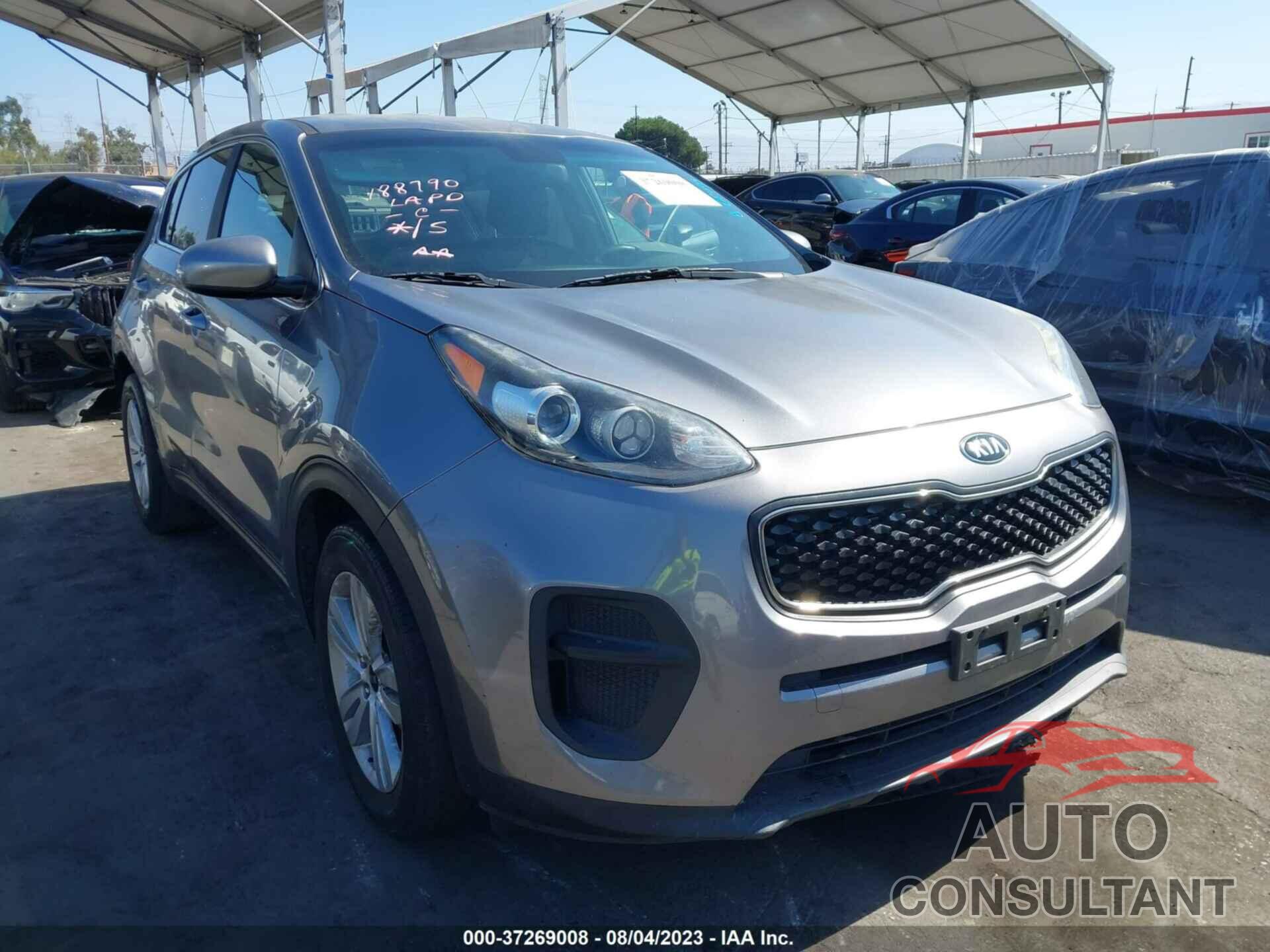 KIA SPORTAGE 2017 - KNDPM3AC7H7228366