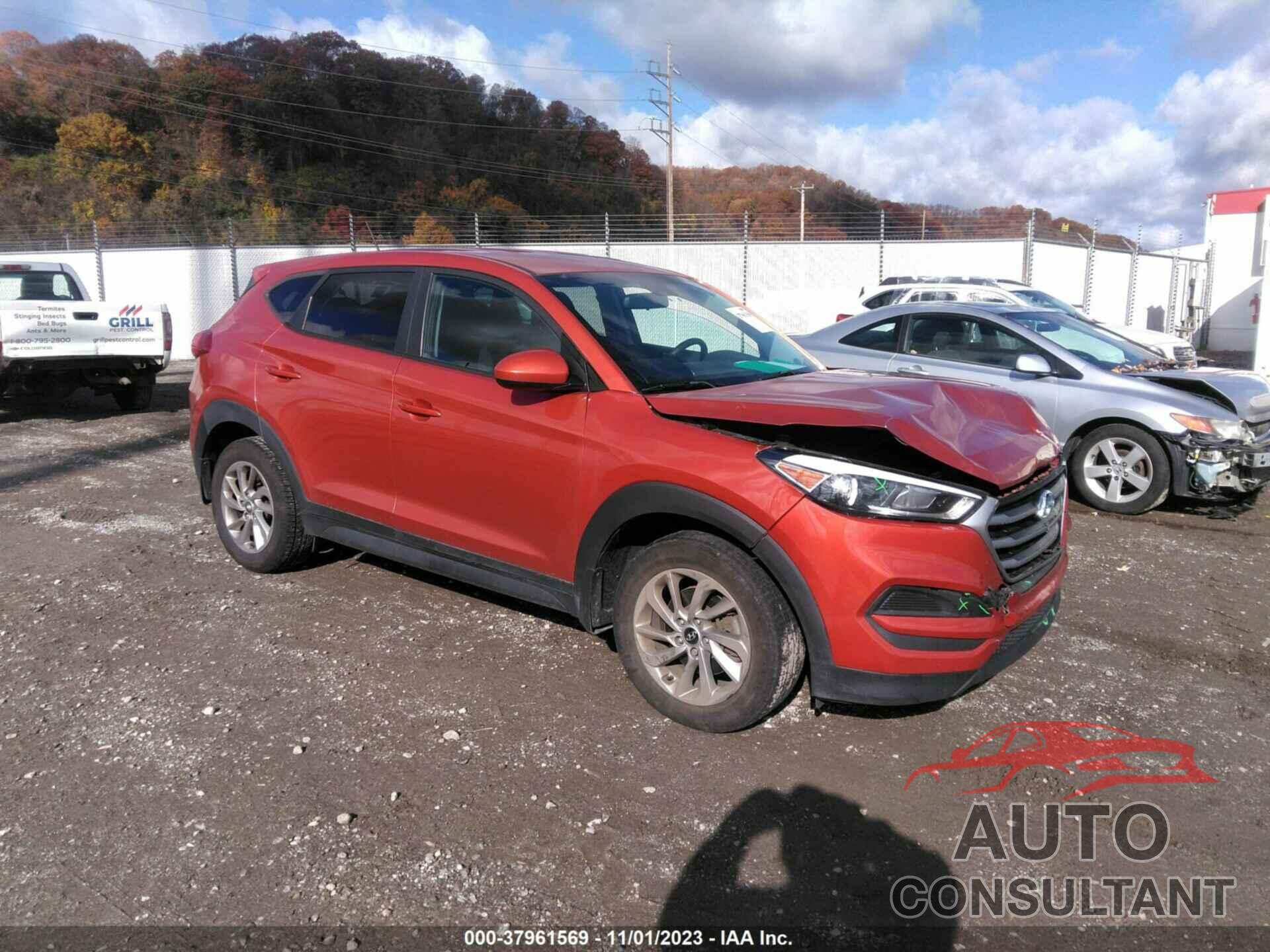 HYUNDAI TUCSON 2017 - KM8J23A43HU463851