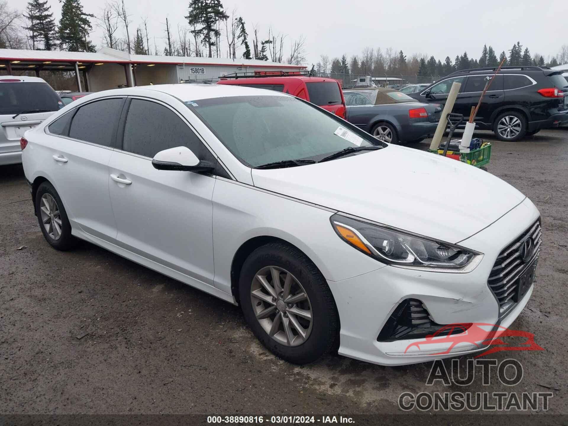 HYUNDAI SONATA 2018 - 5NPE24AF6JH625789
