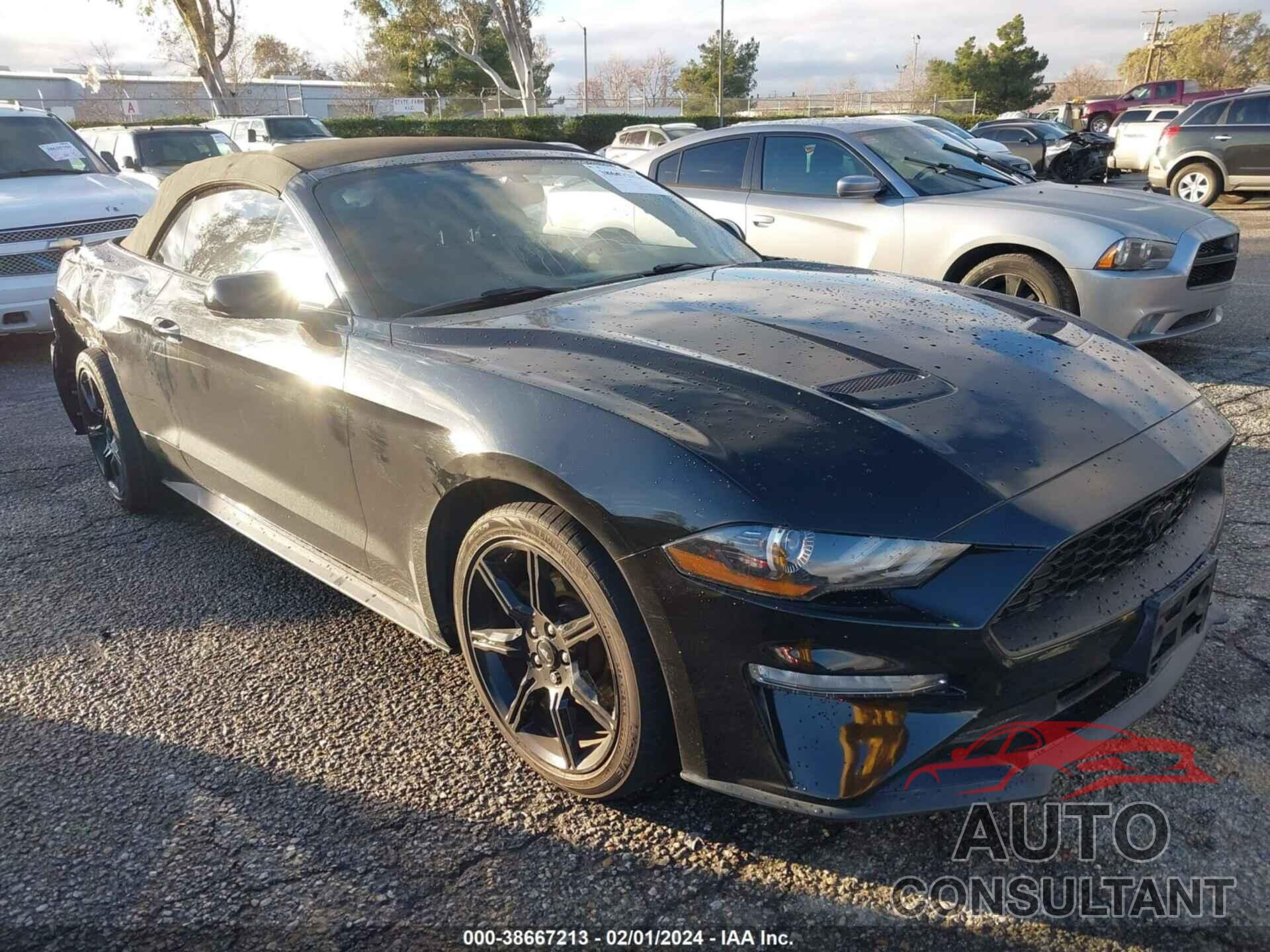 FORD MUSTANG 2019 - 1FATP8UH3K5135038