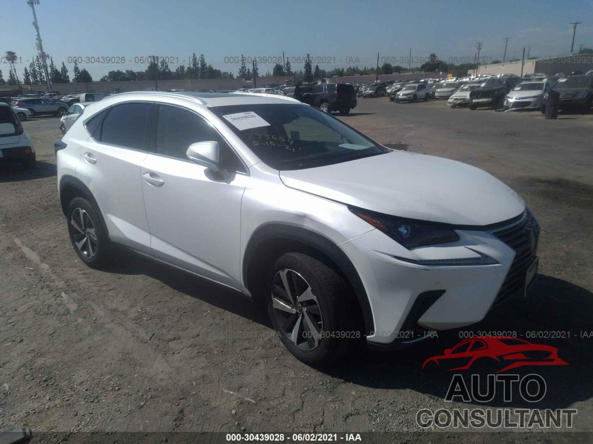 LEXUS NX 2019 - JTJYARBZ9K2150239