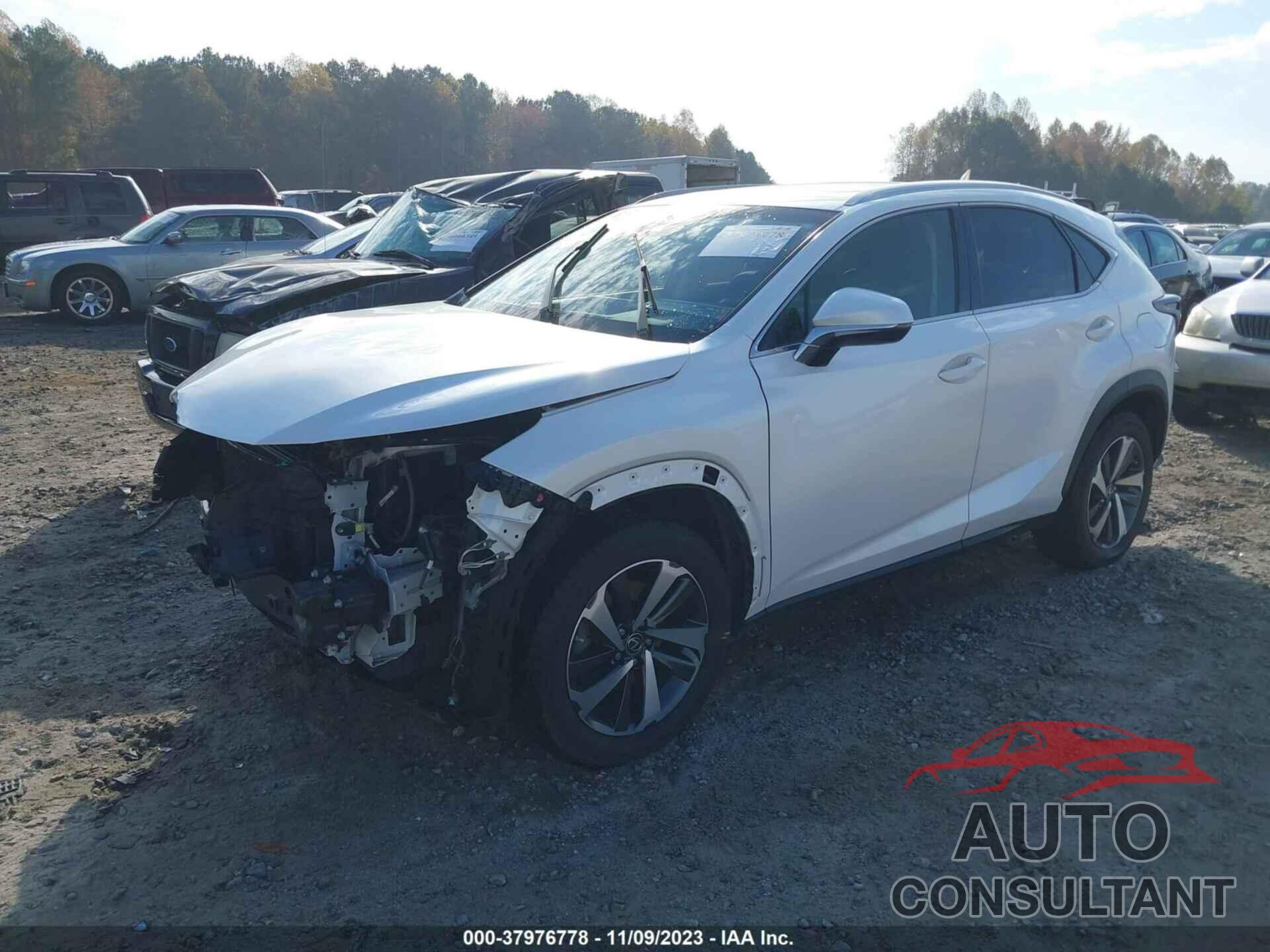 LEXUS NX 300 2018 - JTJBARBZ6J2165060