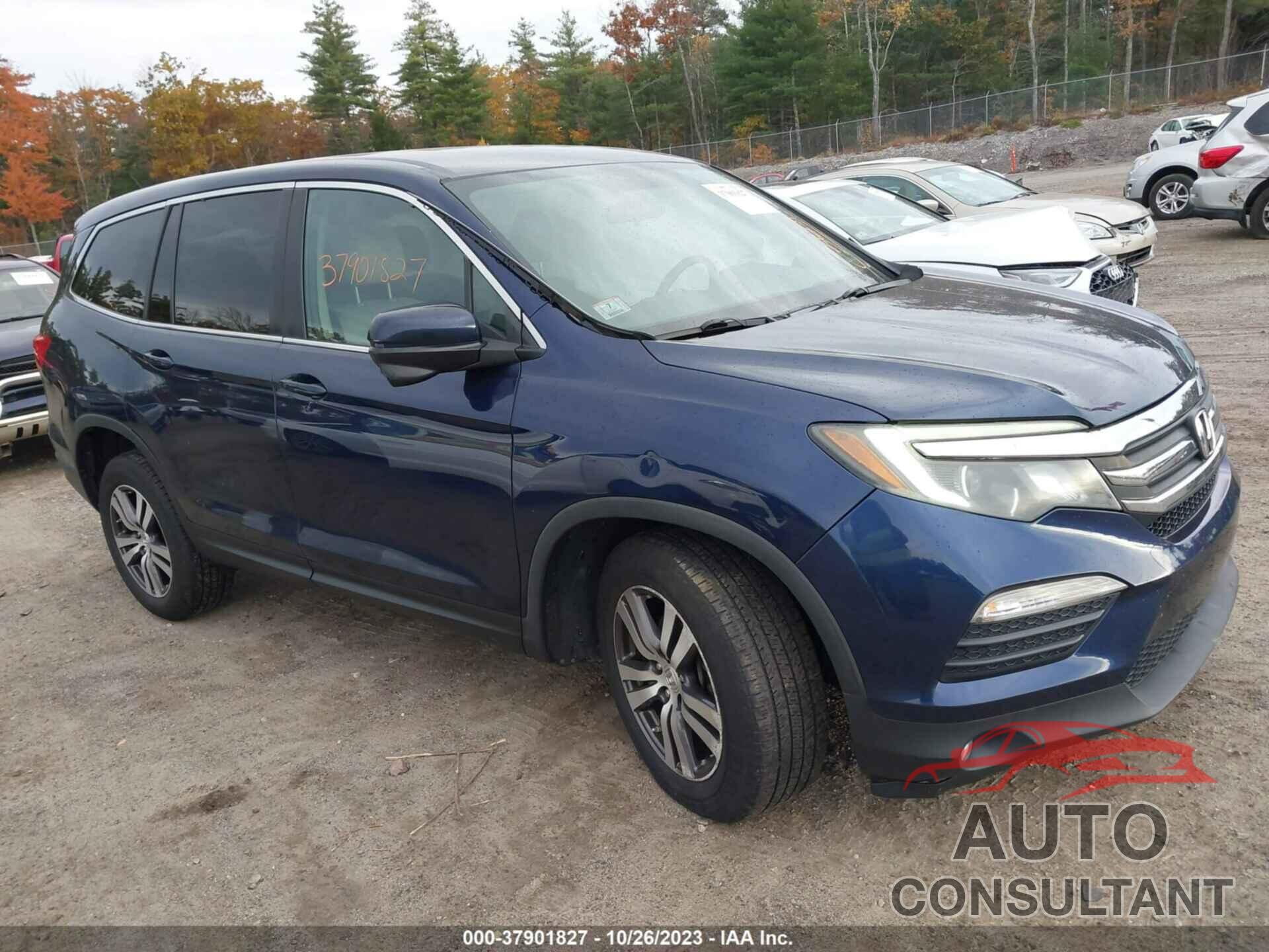 HONDA PILOT 2016 - 5FNYF6H39GB058591