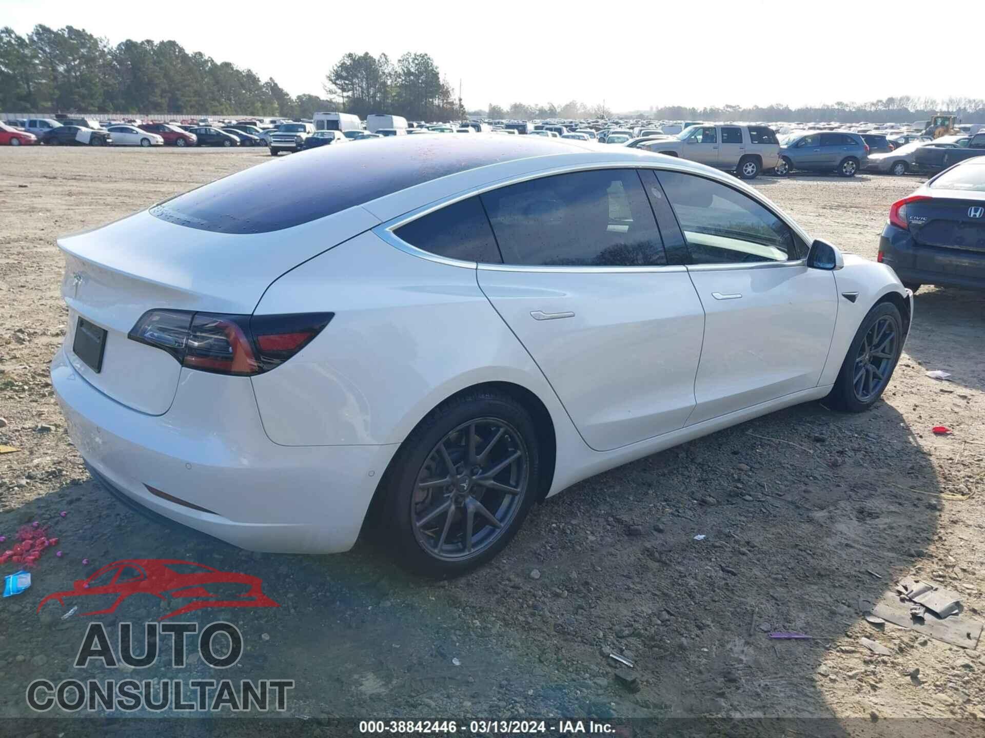 TESLA MODEL 3 2019 - 5YJ3E1EA2KF309799