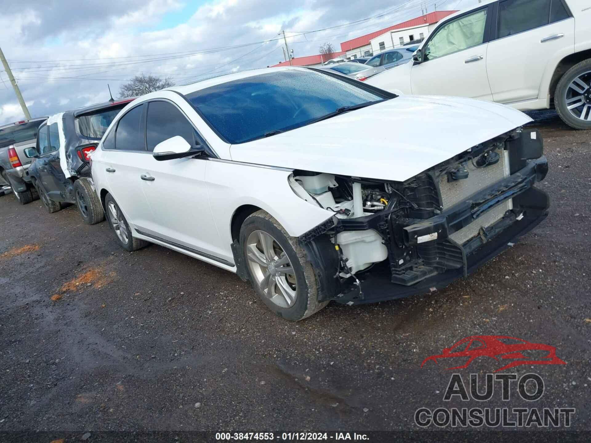 HYUNDAI SONATA 2019 - 5NPE34AF3KH752434