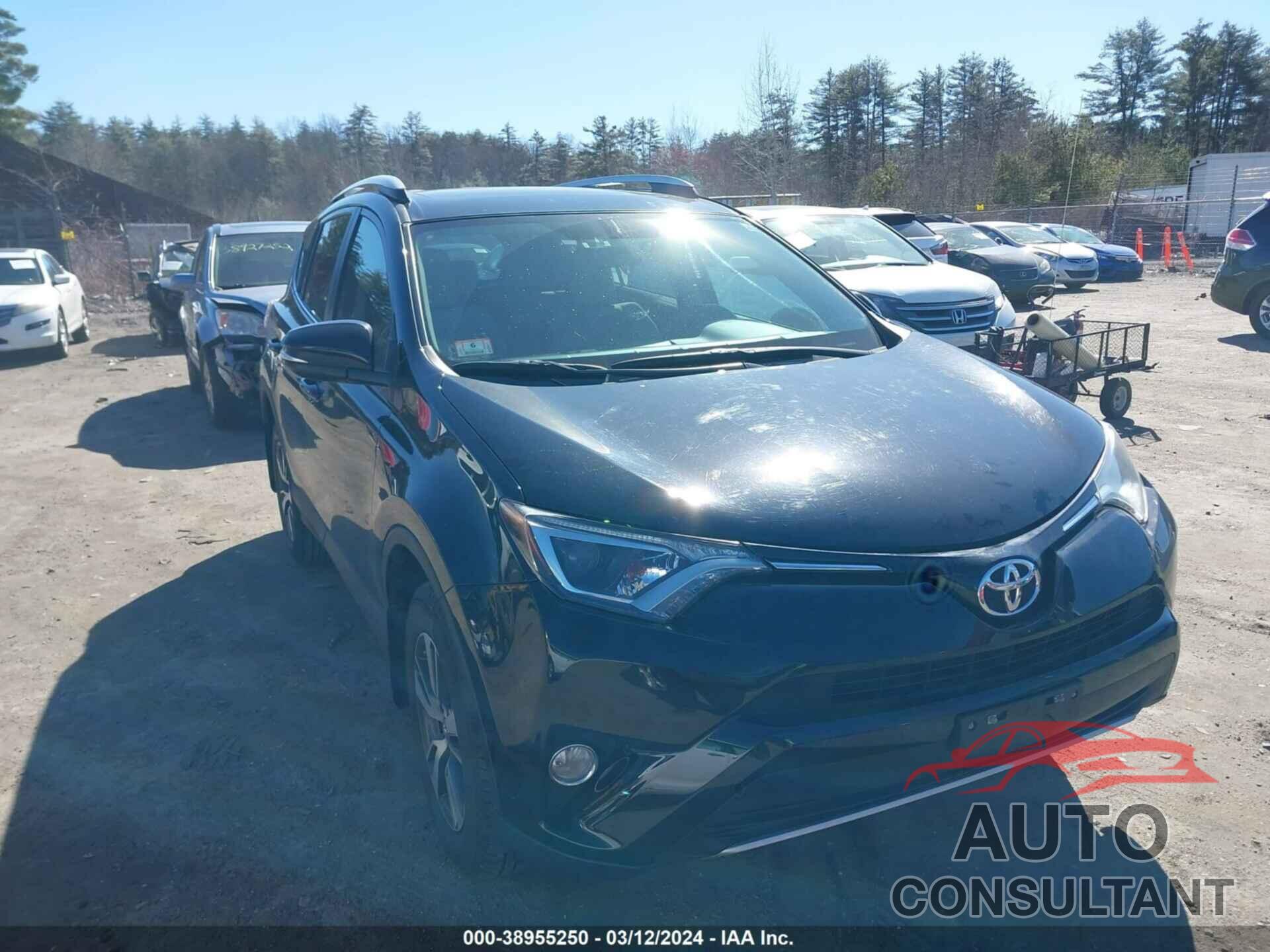 TOYOTA RAV4 2016 - 2T3RFREV8GW440360