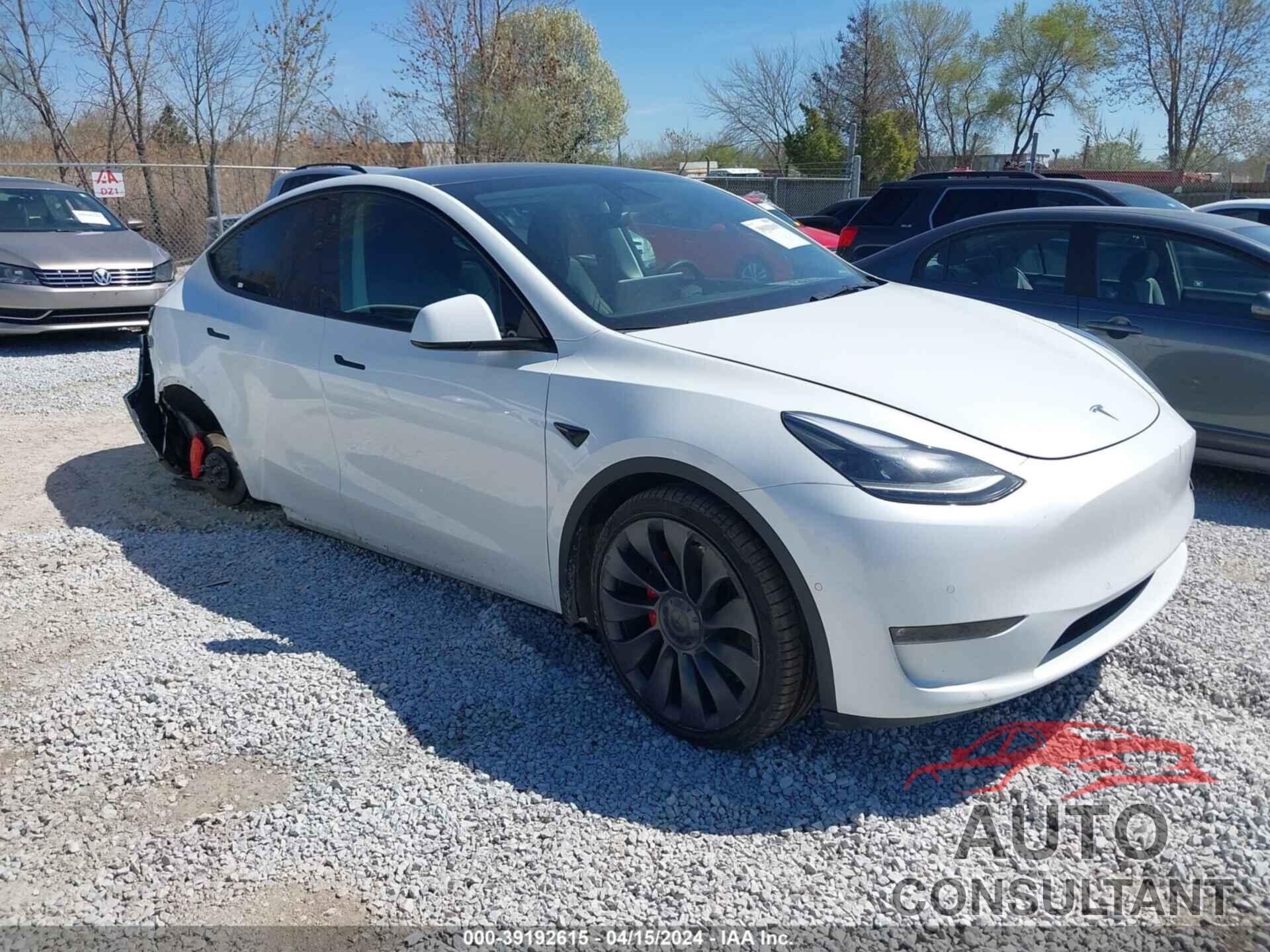 TESLA MODEL Y 2021 - 5YJYGDEF7MF211819