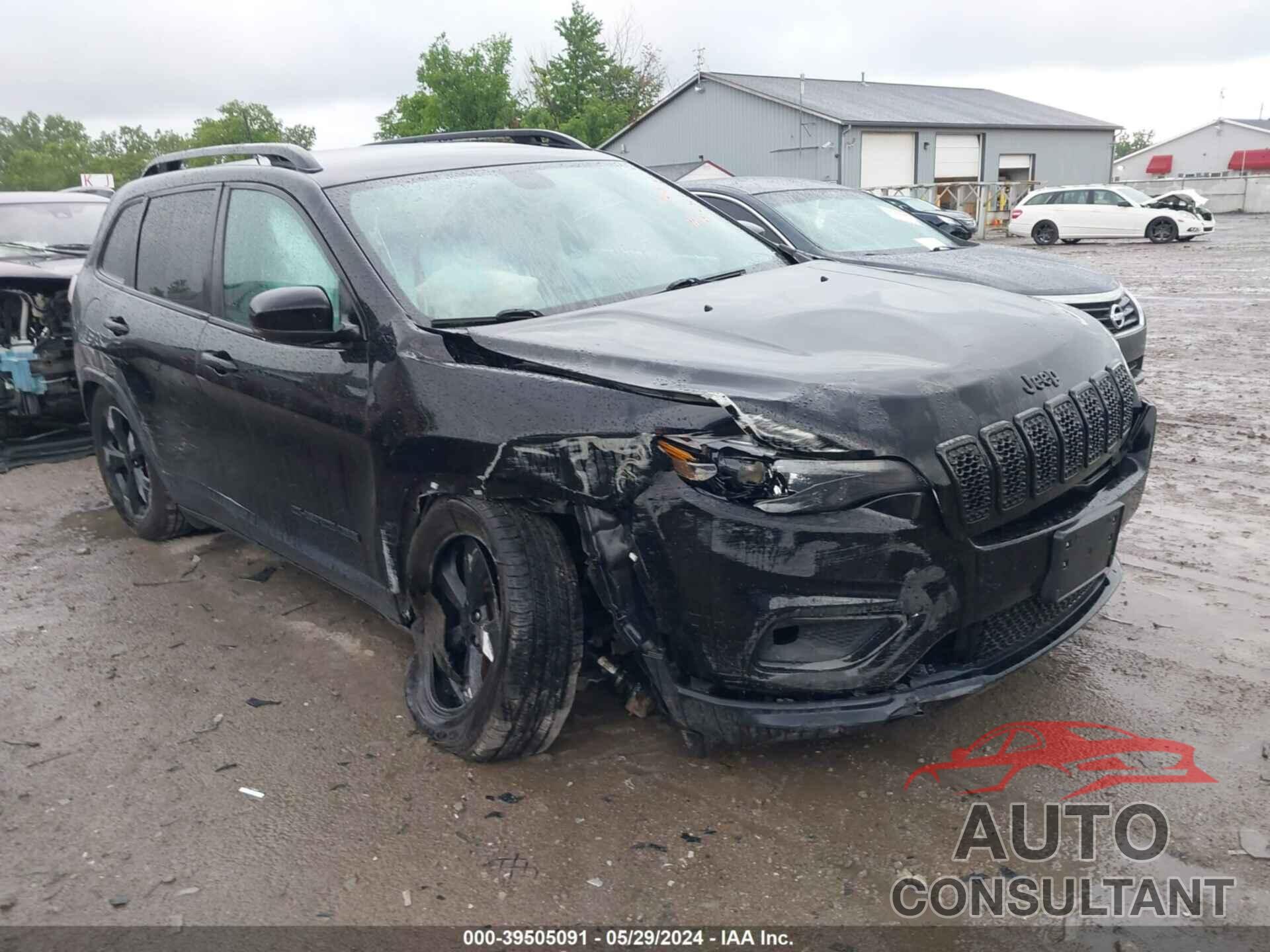 JEEP CHEROKEE 2019 - 1C4PJMLB1KD319919