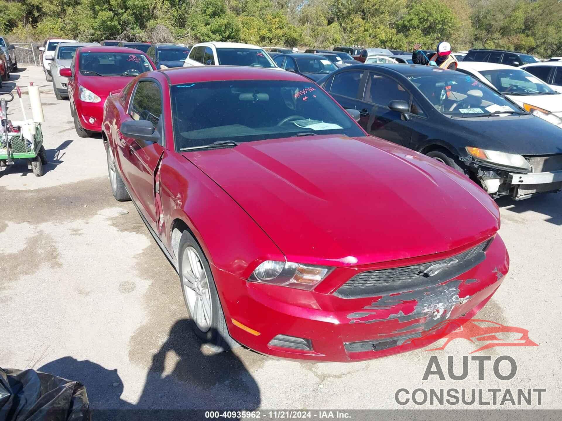 FORD MUSTANG 2011 - 1ZVBP8AM0B5169815