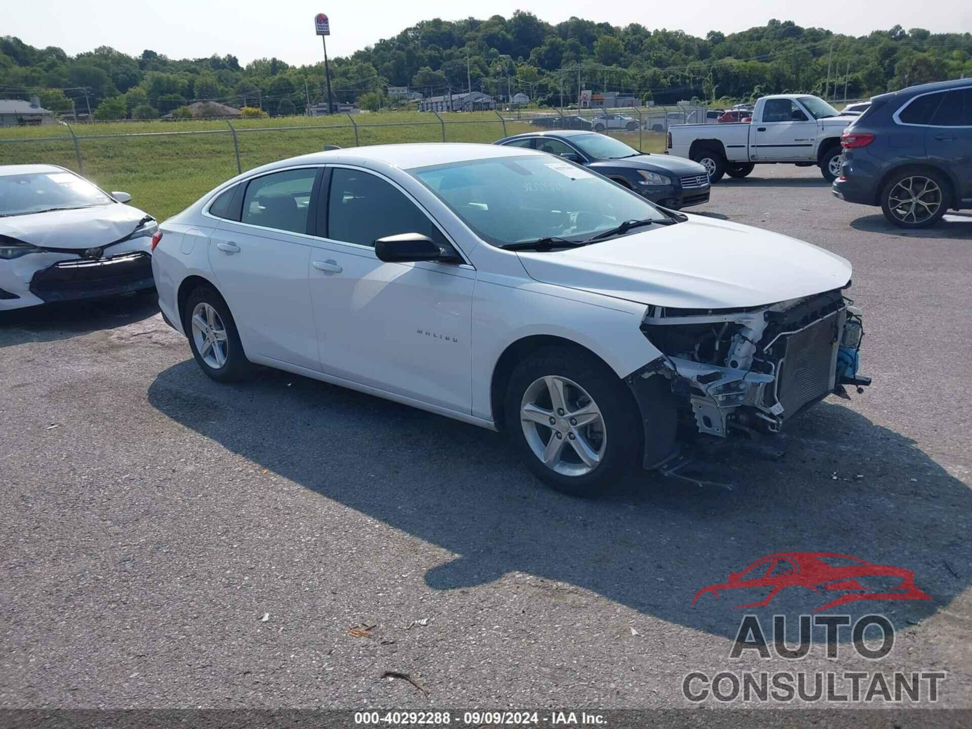 CHEVROLET MALIBU 2019 - 1G1ZB5ST1KF192561