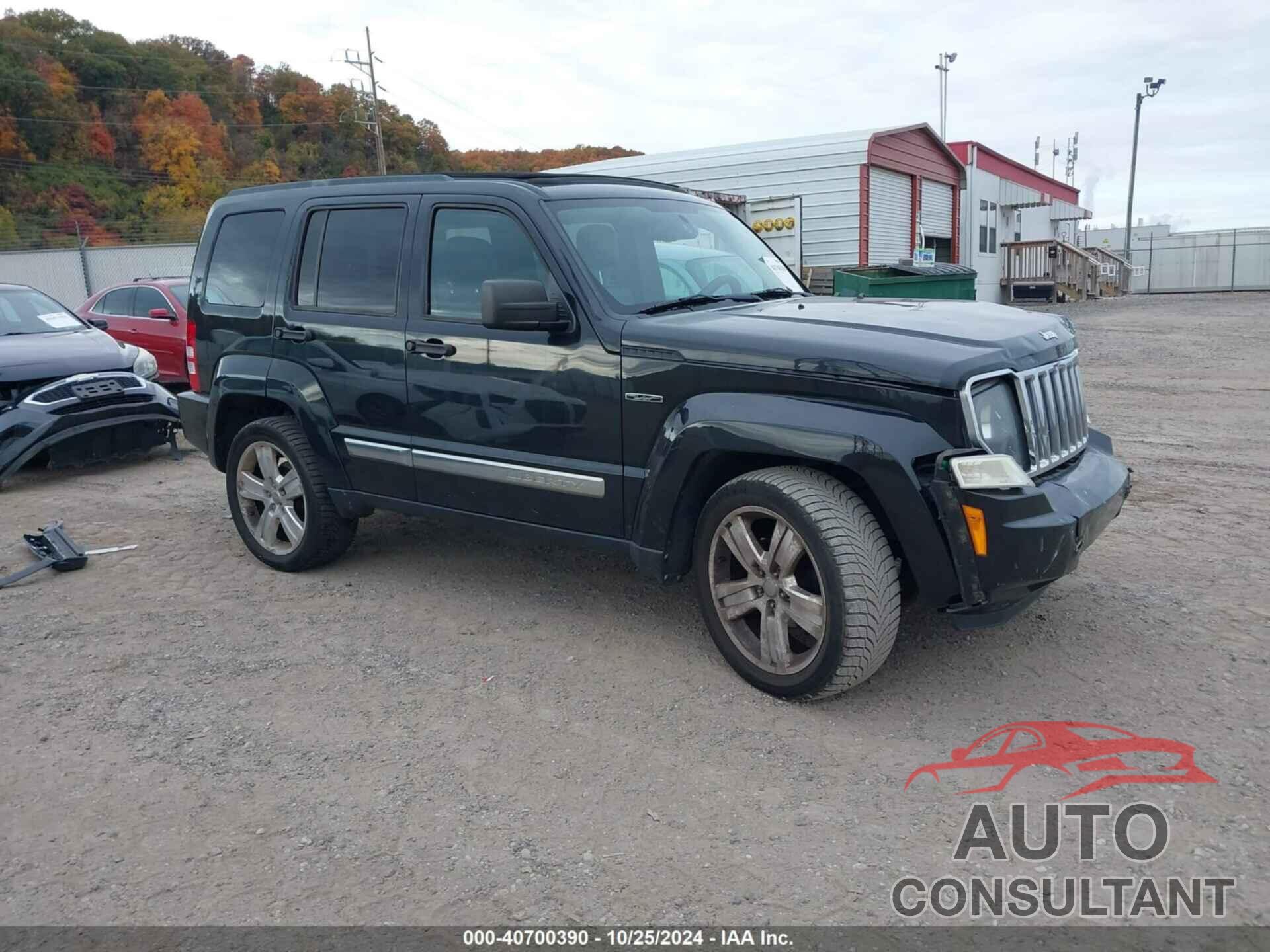 JEEP LIBERTY 2012 - 1C4PJMFK0CW147710