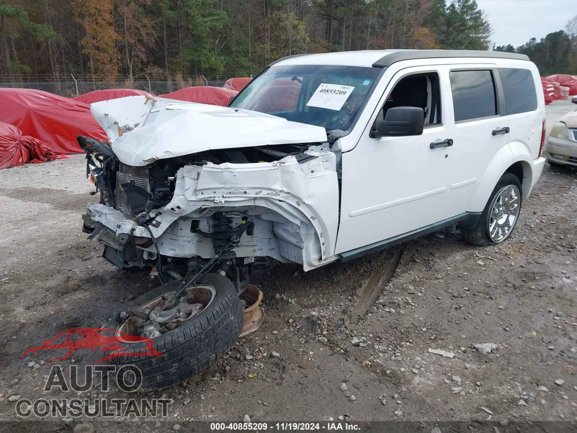 DODGE NITRO 2011 - 1D4PT4GK1BW605054