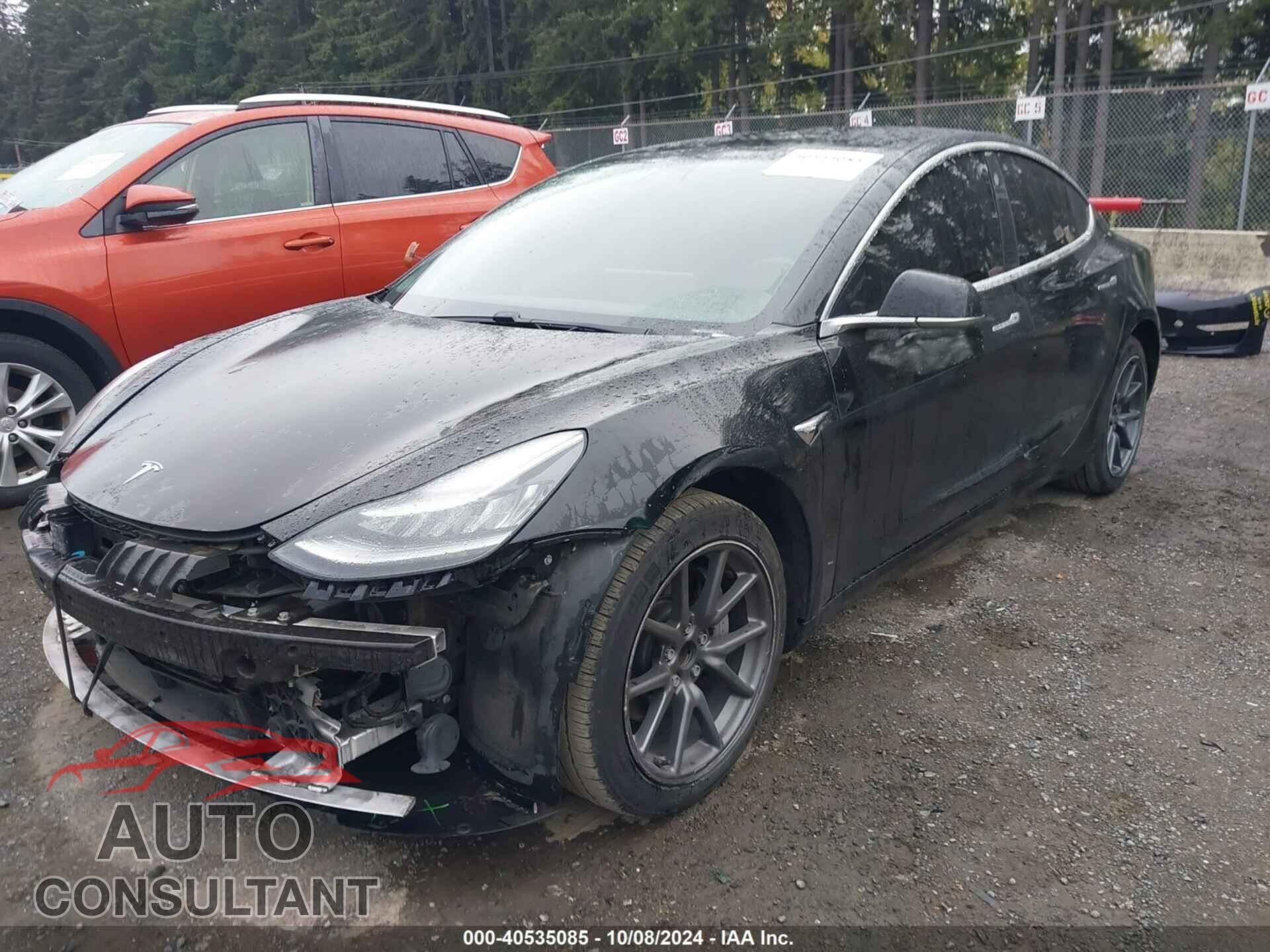 TESLA MODEL 3 2019 - 5YJ3E1EA3KF316907