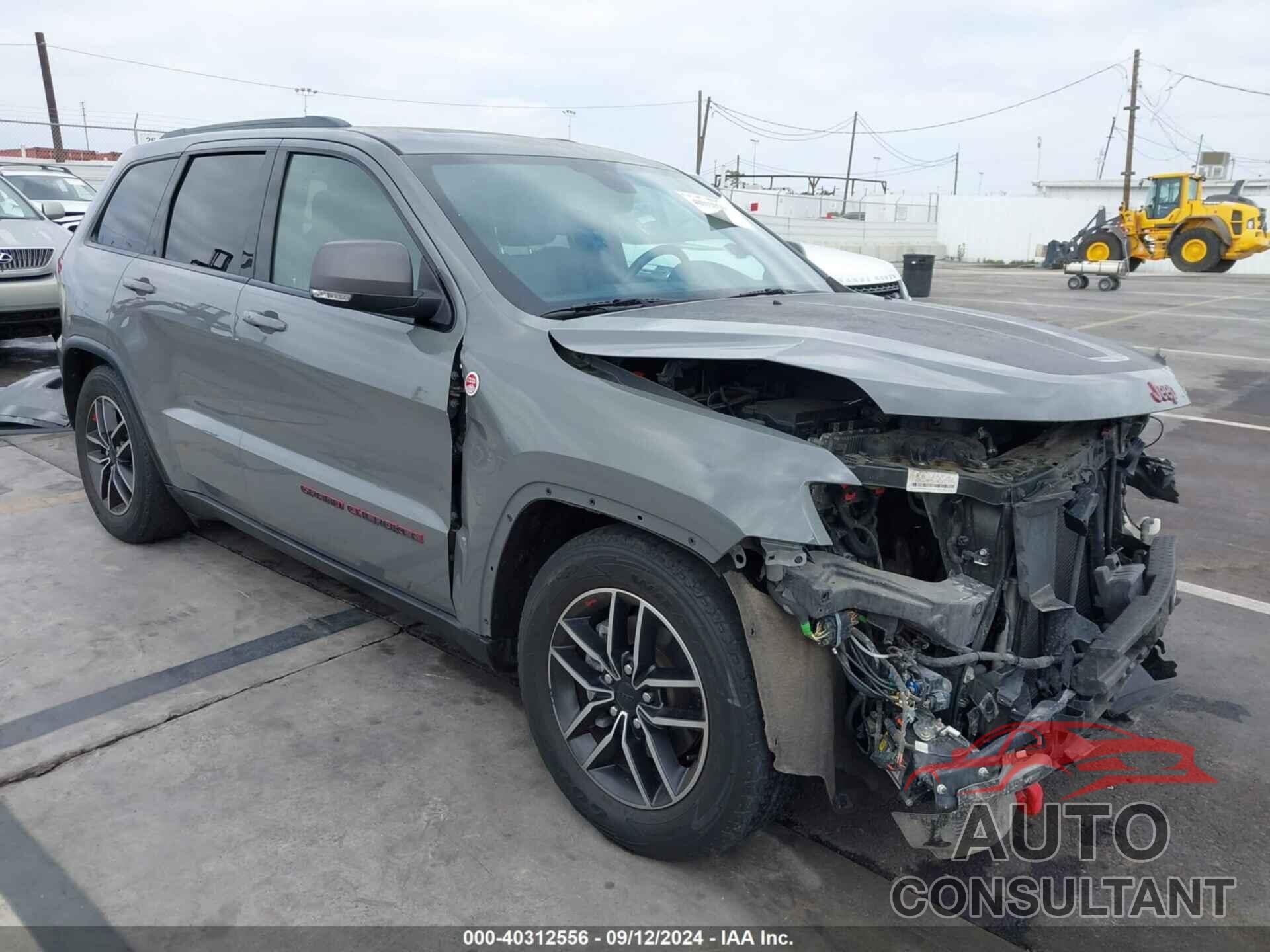 JEEP GRAND CHEROKEE 2019 - 1C4RJFLG0KC695453