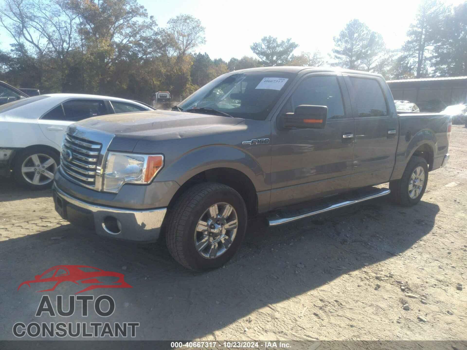 FORD F-150 2012 - 1FTEW1CM6CFA33840