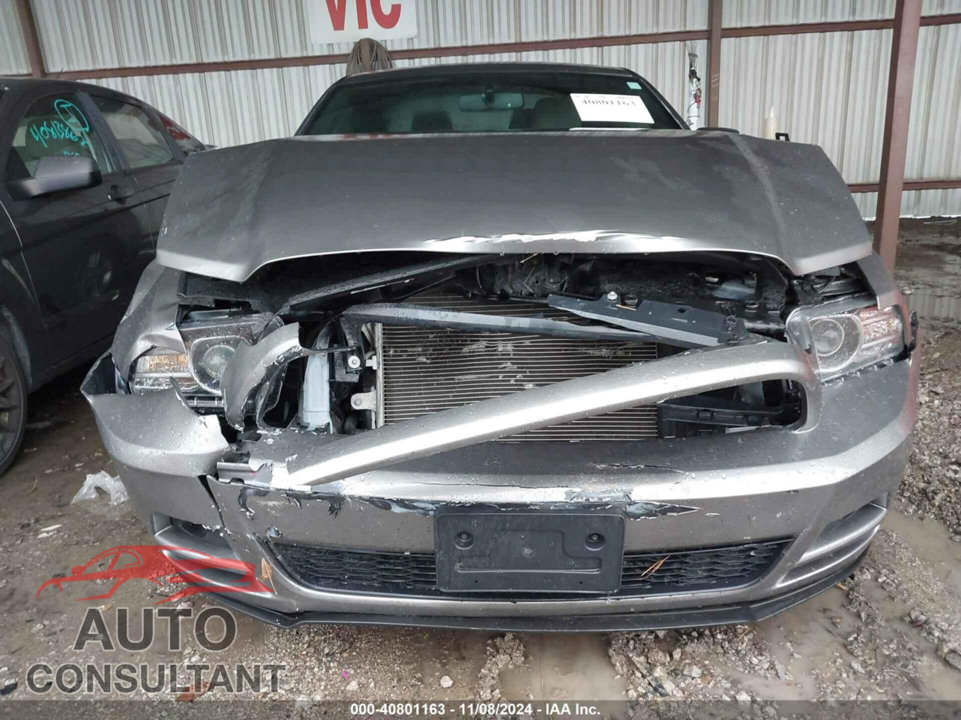 FORD MUSTANG 2014 - 1ZVBP8AM3E5332042