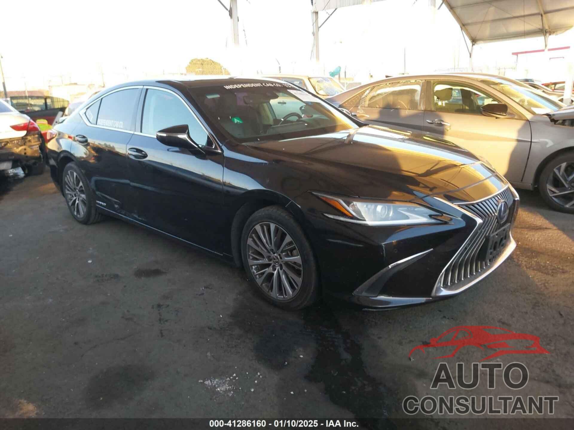LEXUS ES 300H 2021 - 58ADA1C13MU005334
