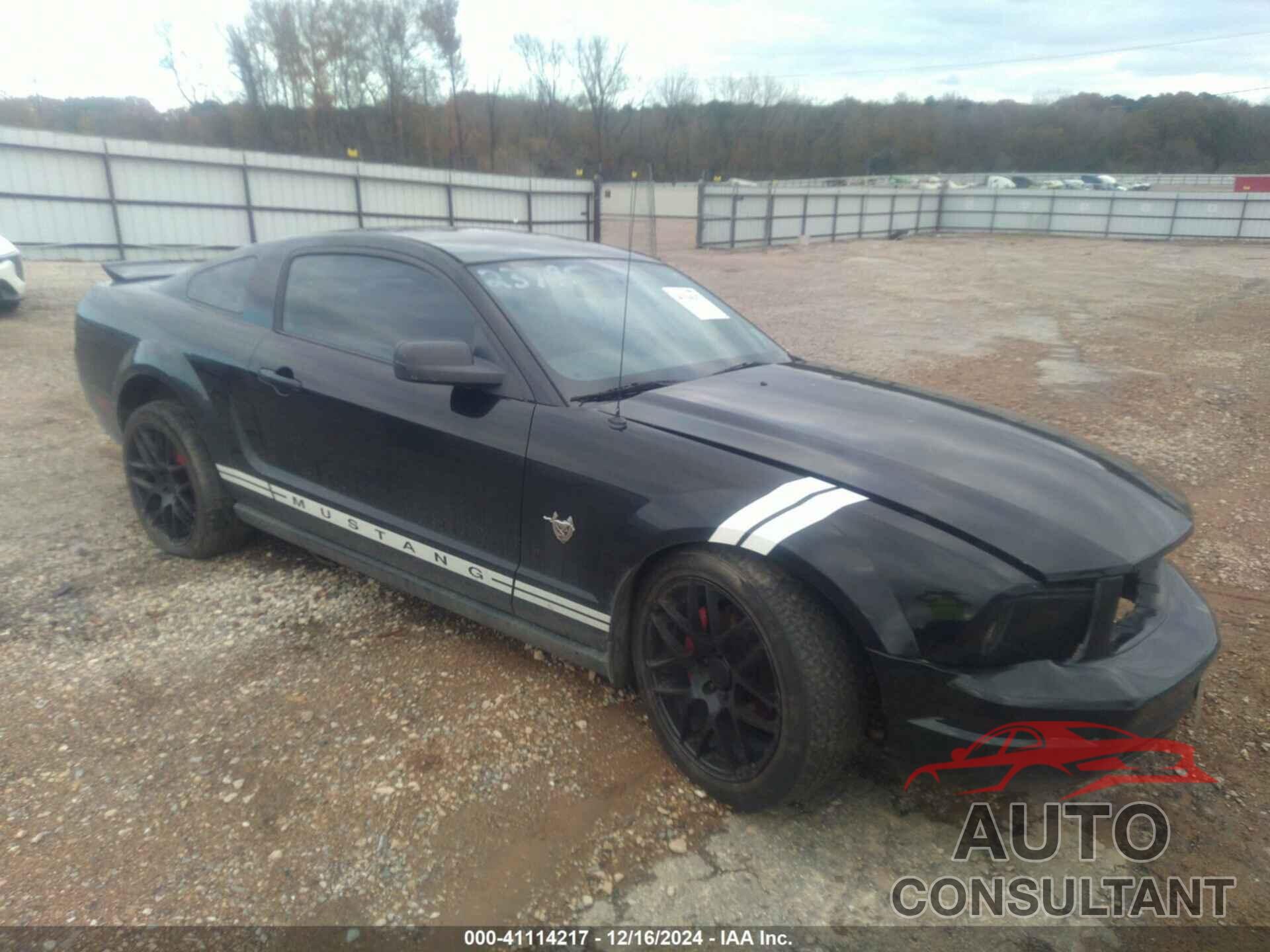FORD MUSTANG 2009 - 1ZVHT80N995110191