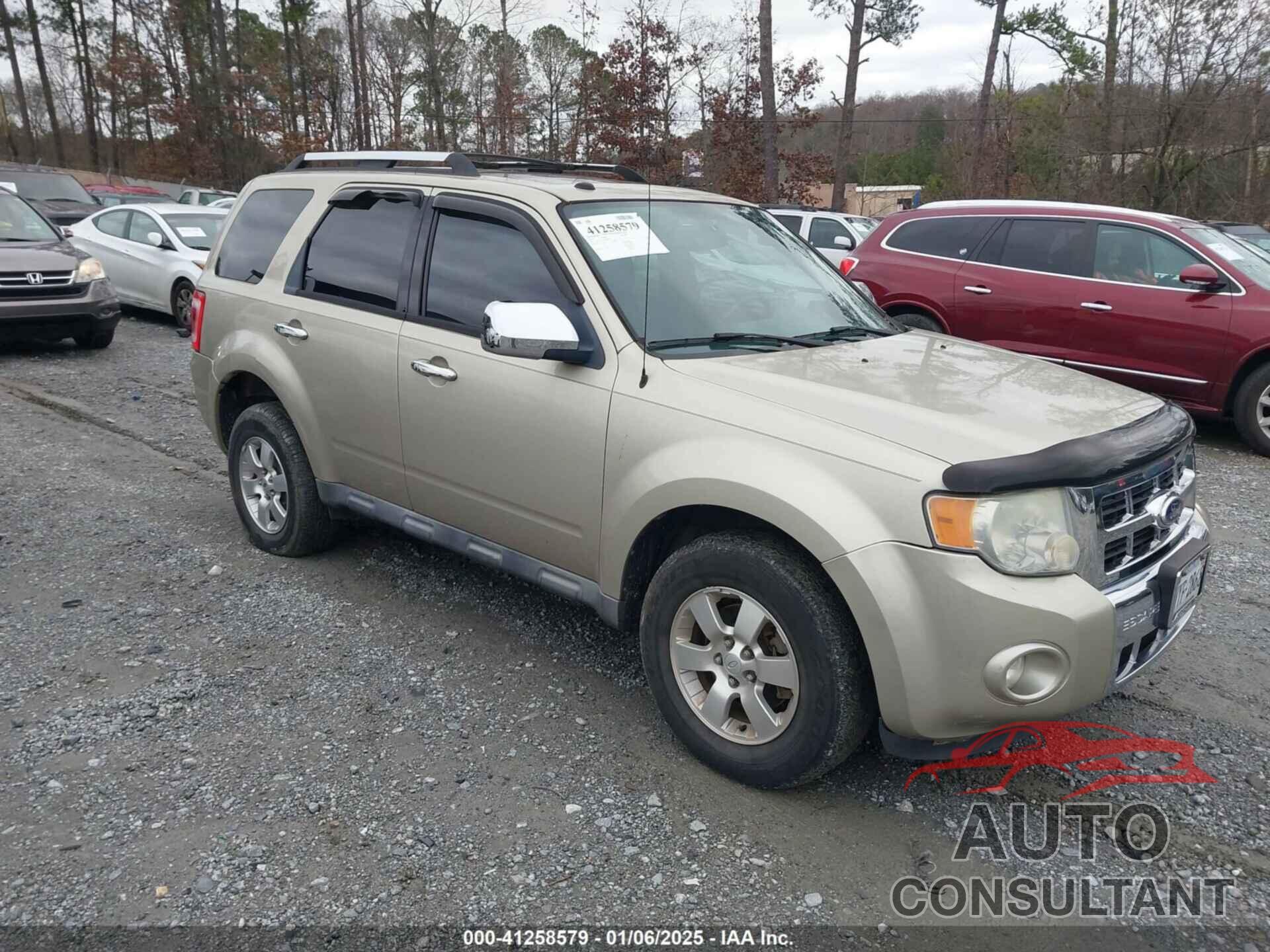 FORD ESCAPE 2010 - 1FMCU9EG7AKB77979