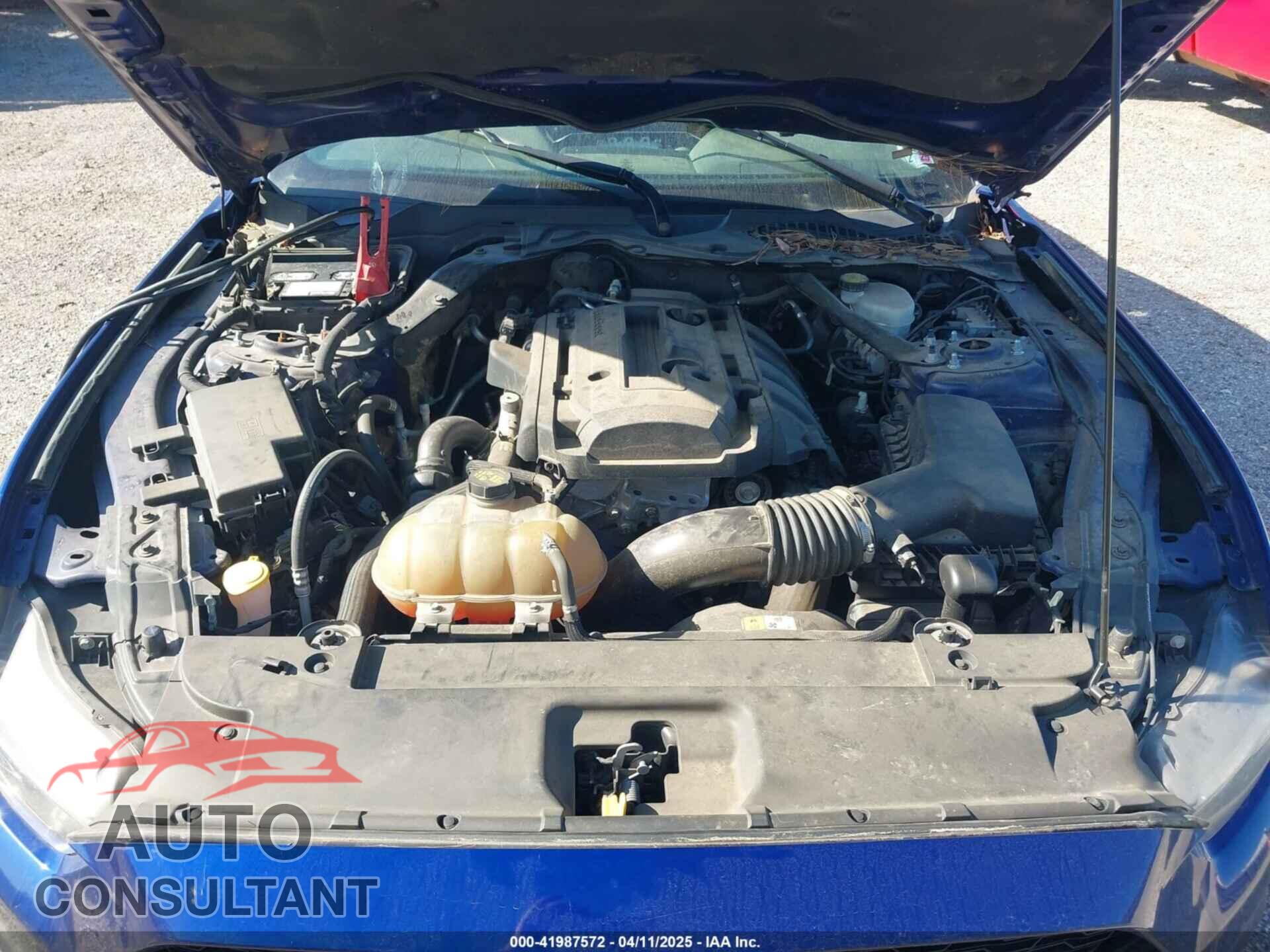 FORD MUSTANG 2015 - 1FA6P8TH8F5365663