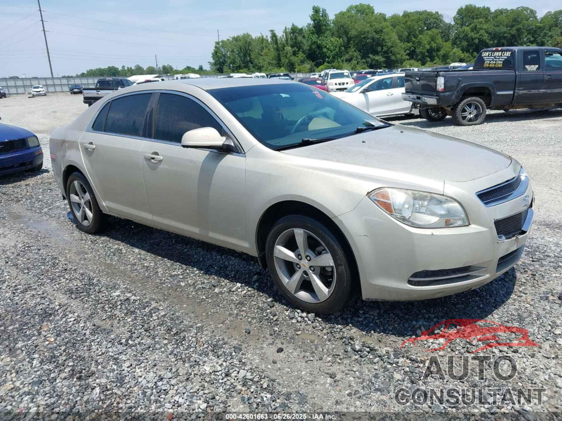 CHEVROLET MALIBU 2011 - 1G1ZC5E16BF377941