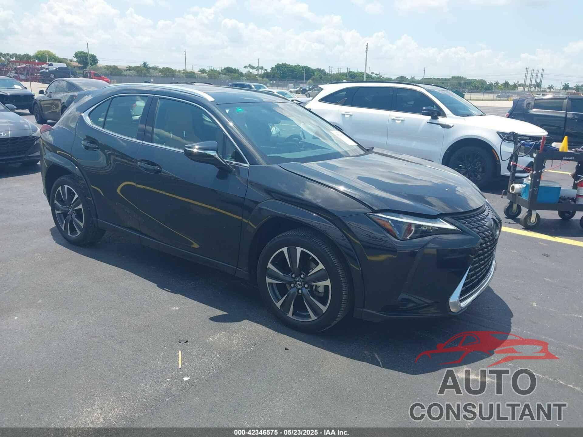 LEXUS UX 250H 2024 - JTHP6JBH1R2191479