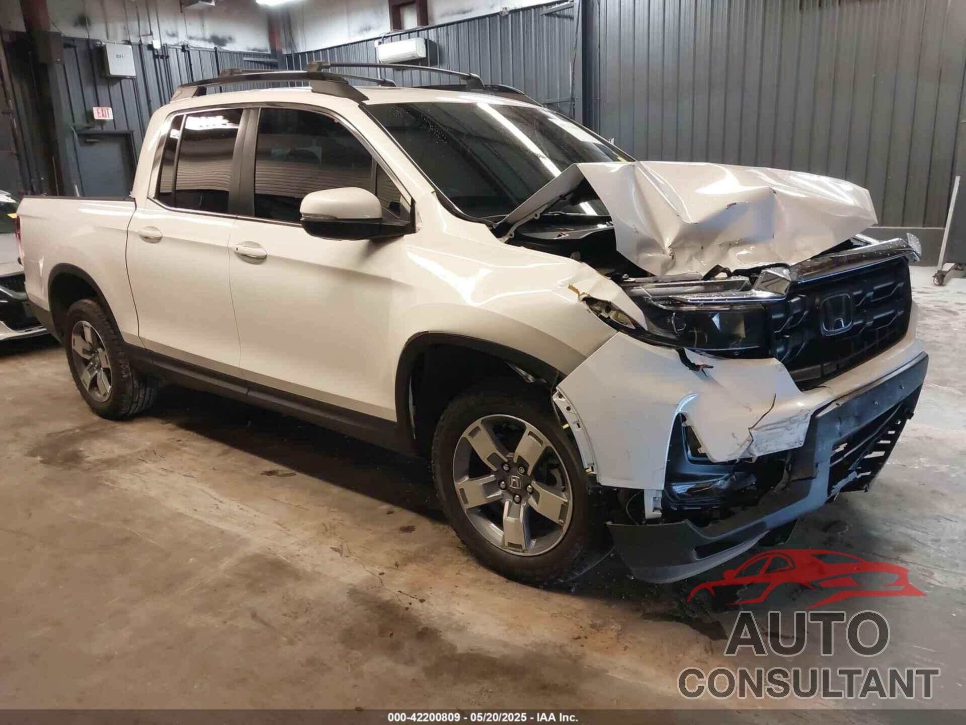 HONDA RIDGELINE 2025 - 5FPYK3F51SB009755